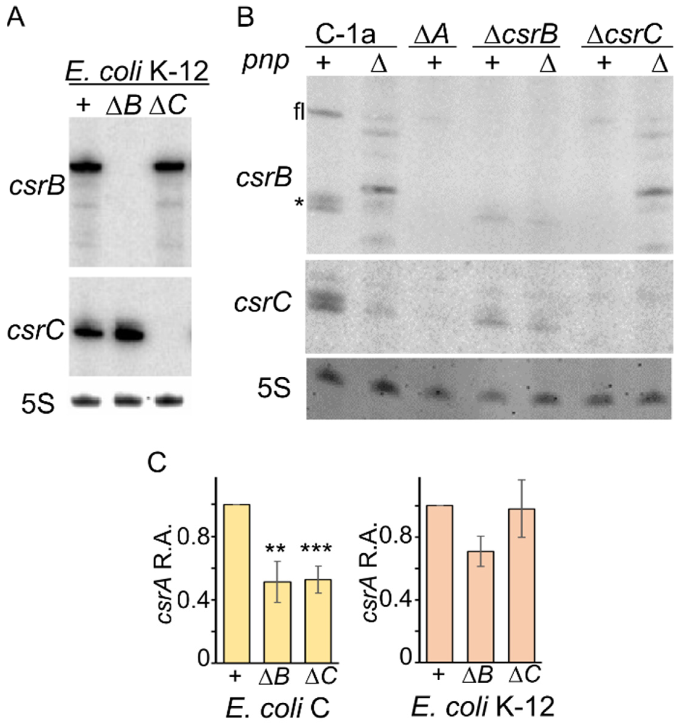 Microorganisms 09 01010 g005 Microorganisms 09 01010 g005