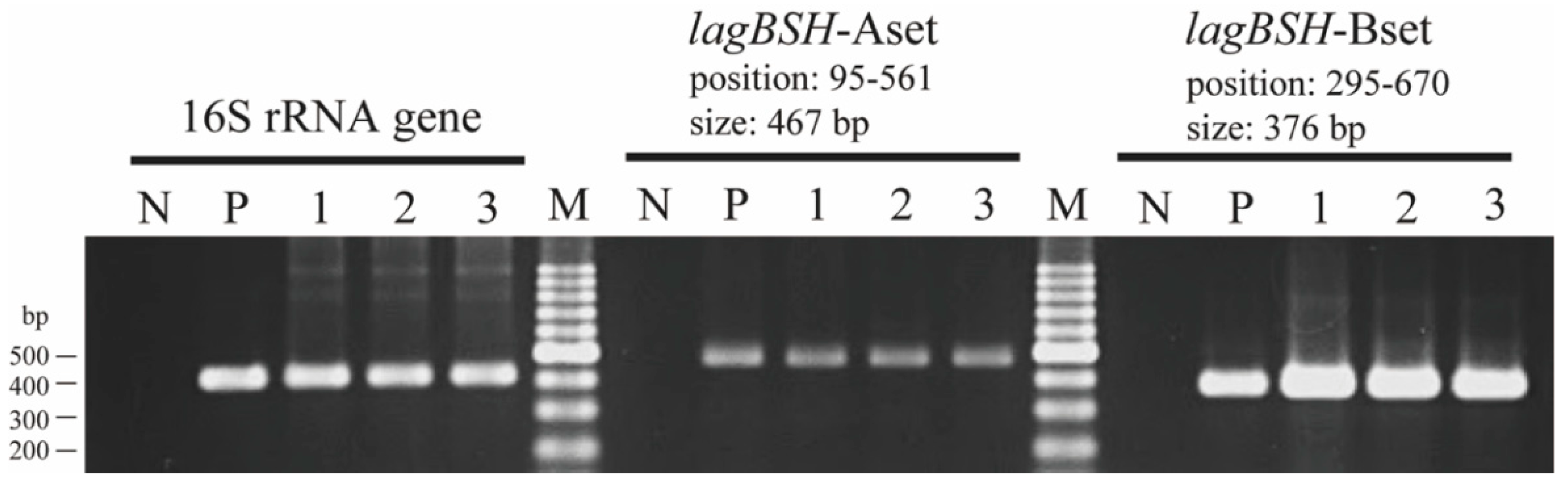Microorganisms 09 01011 g006 Microorganisms 09 01011 g006