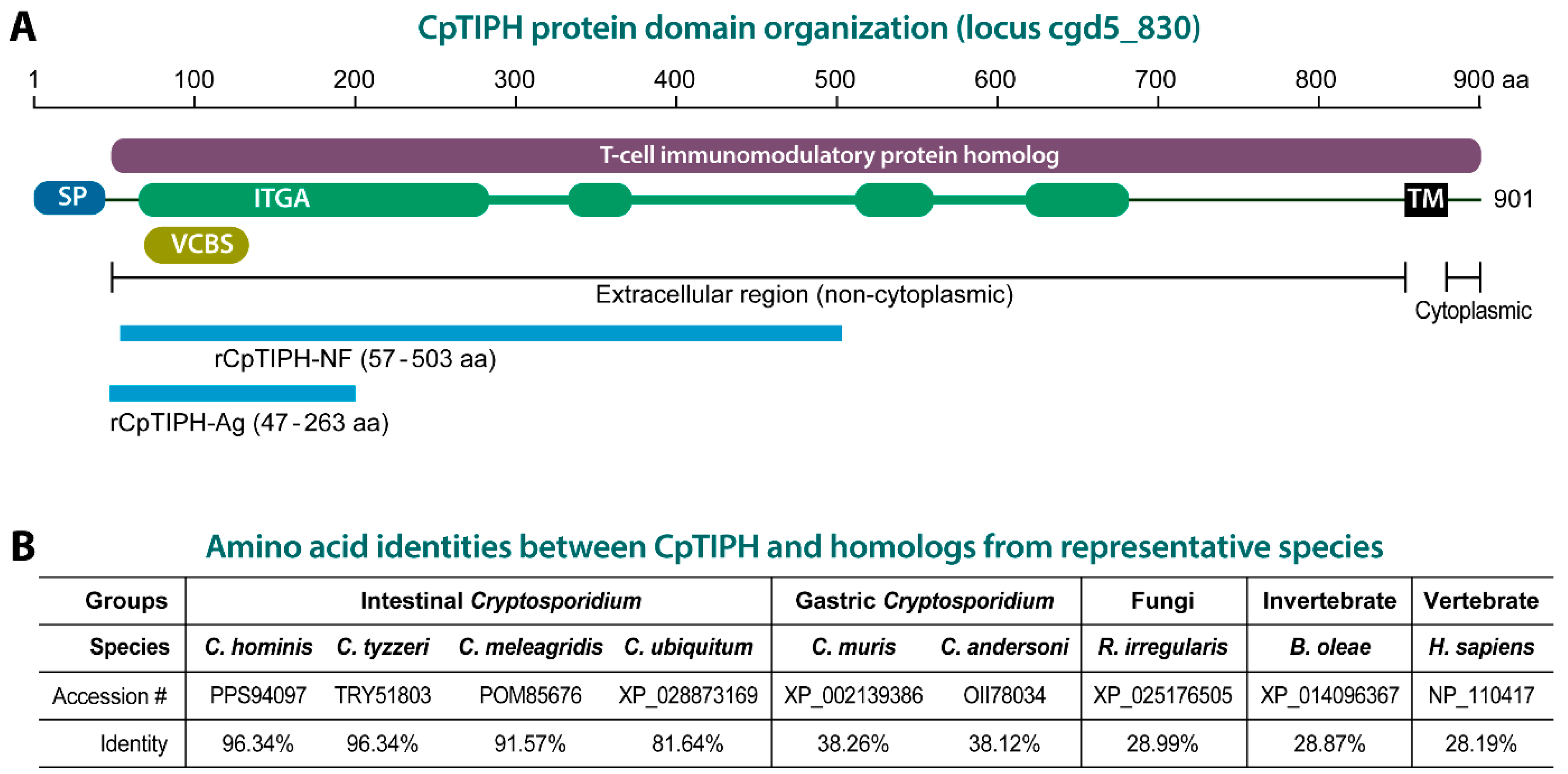 Microorganisms 09 01015 g001 Microorganisms 09 01015 g001