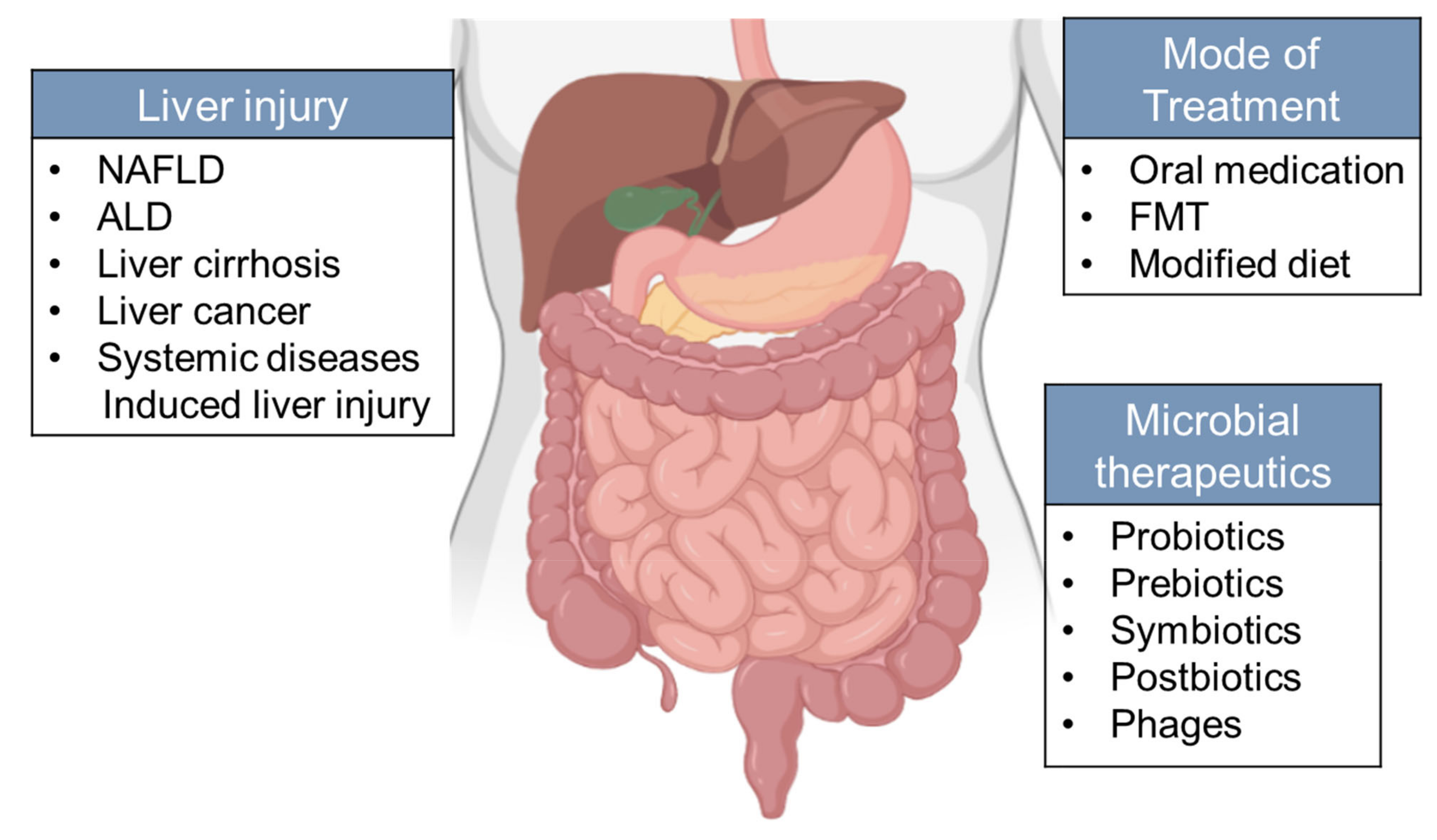 Microorganisms 09 01017 g003