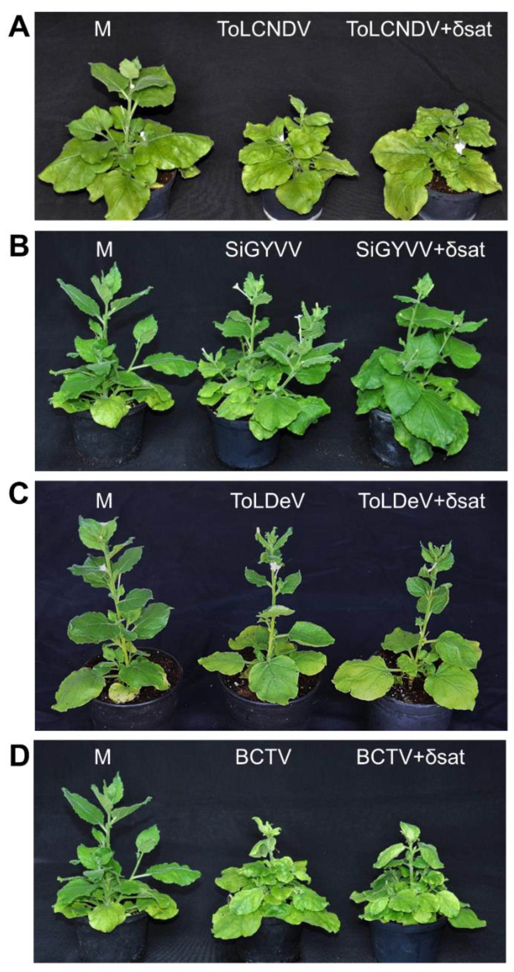 Microorganisms 09 01018 g005 Microorganisms 09 01018 g005
