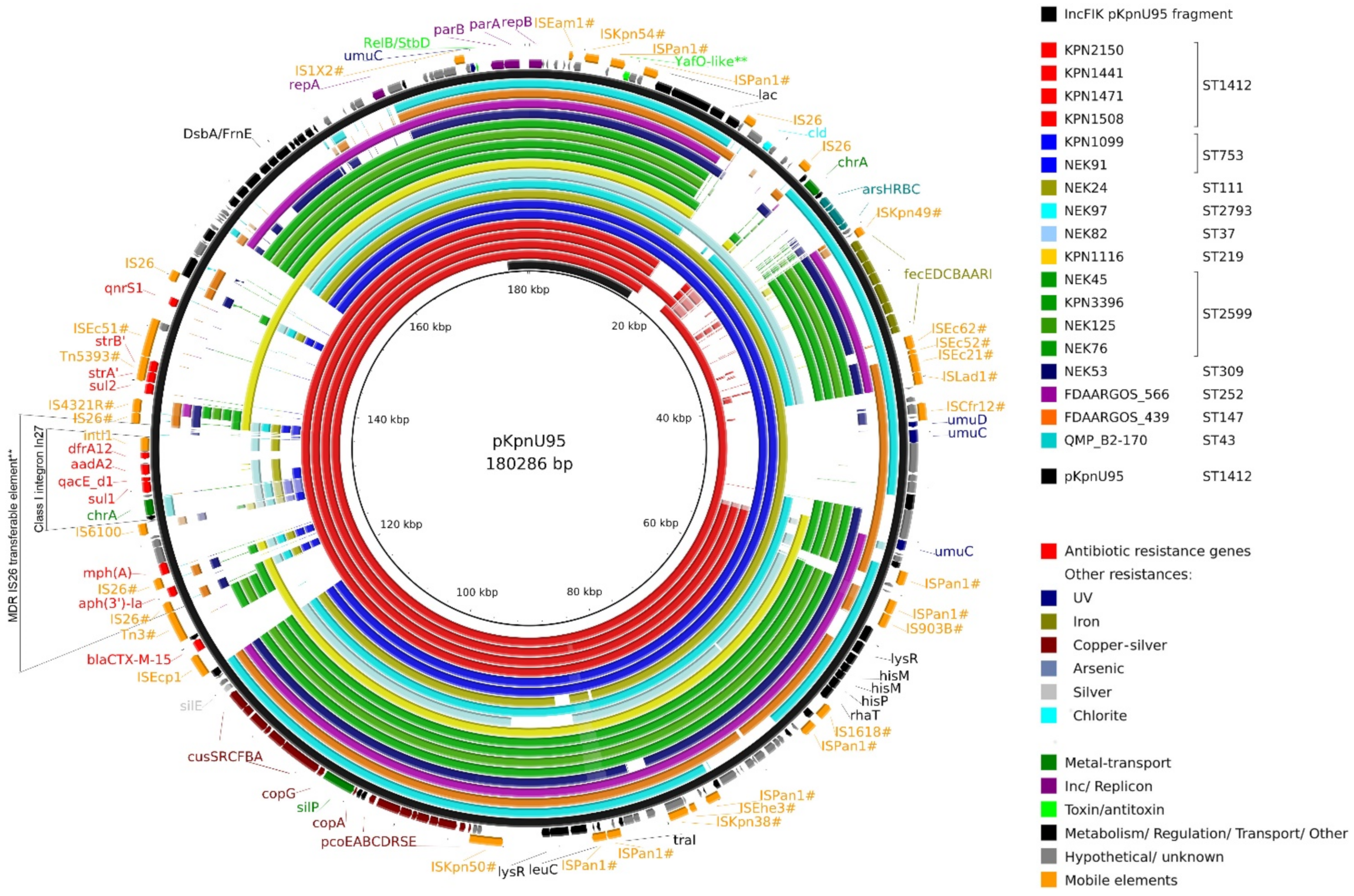 Microorganisms 09 01022 g003