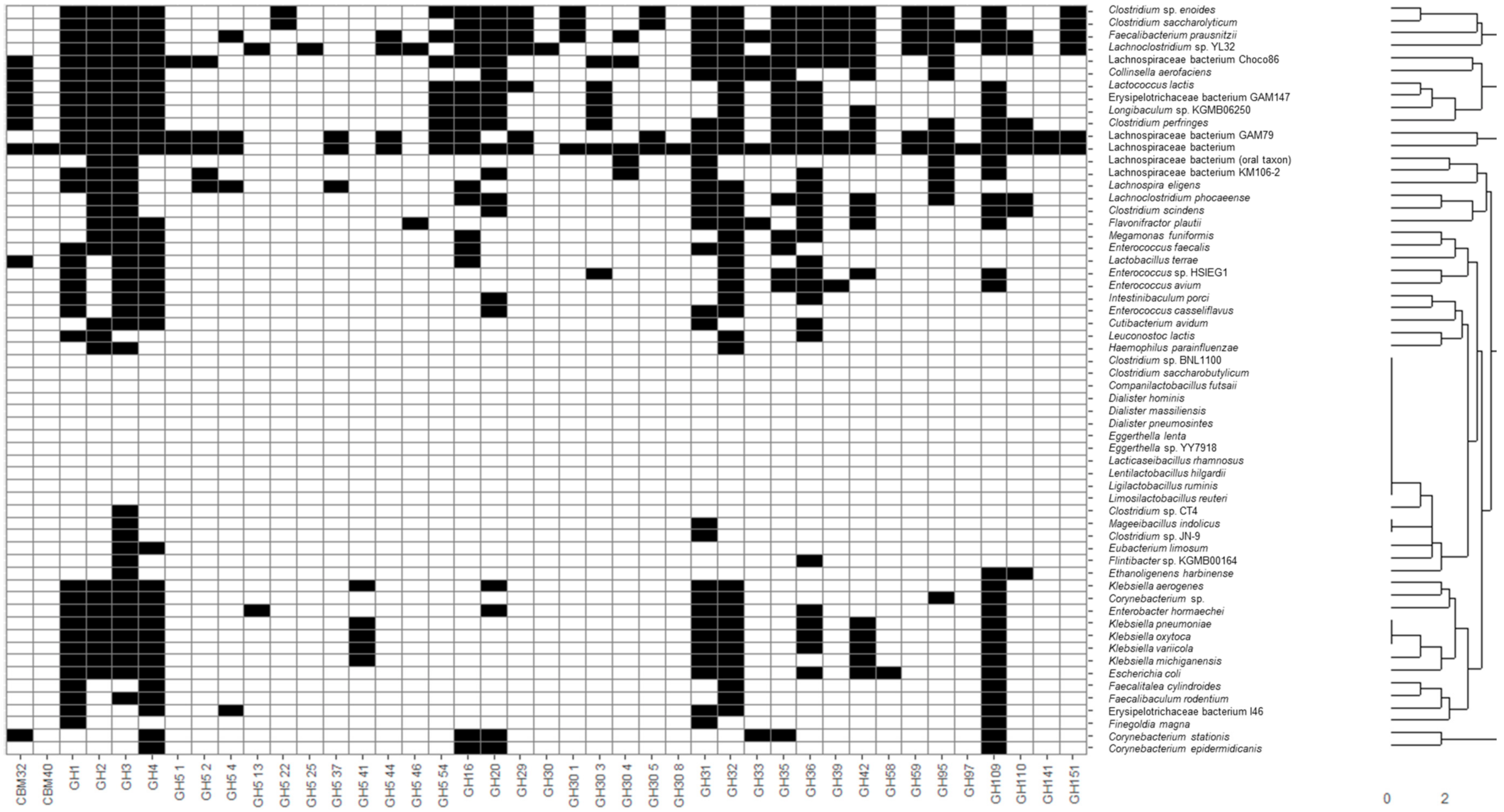 Microorganisms 09 01034 g001b