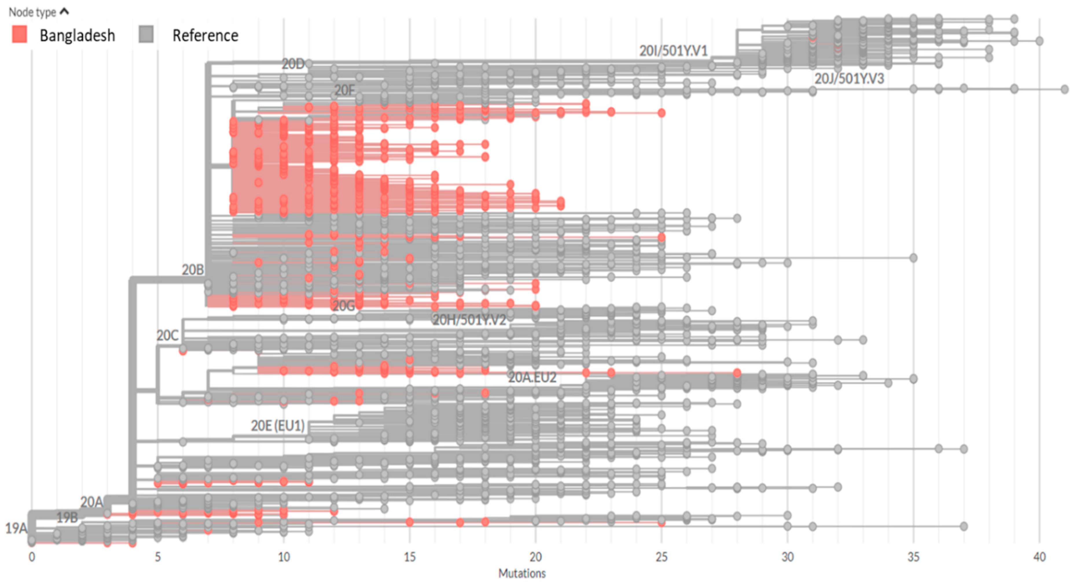 Microorganisms 09 01035 g001