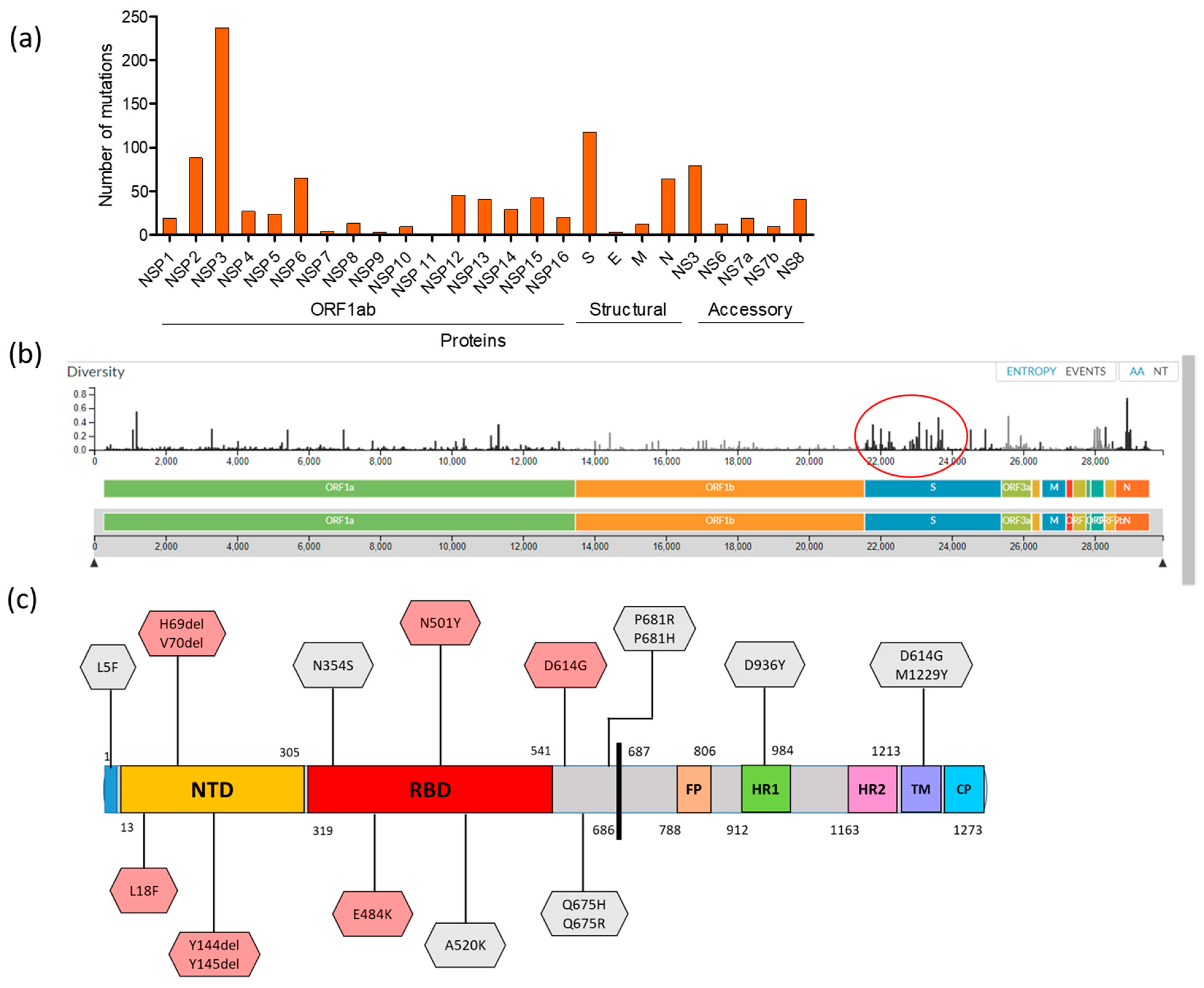 Microorganisms 09 01035 g005