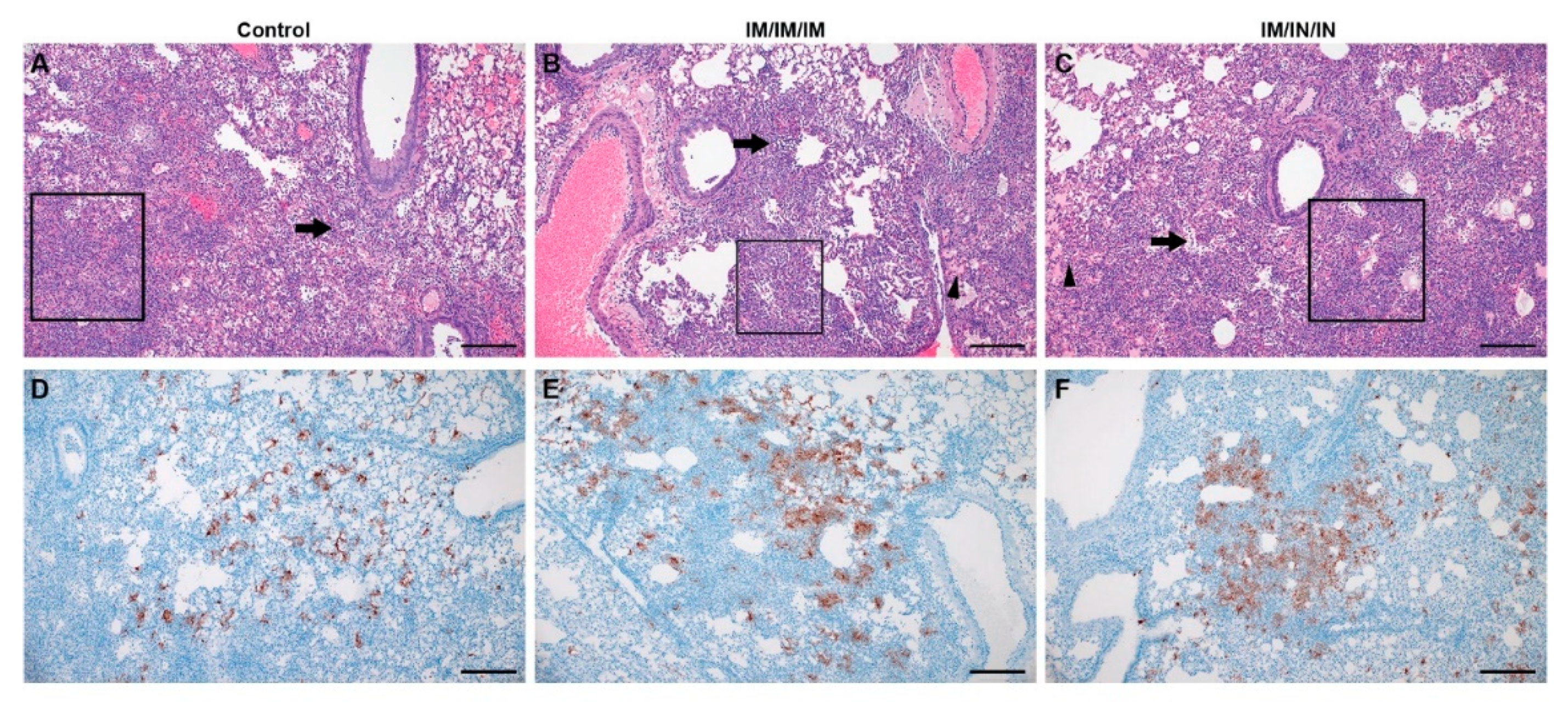Microorganisms 09 01040 g004