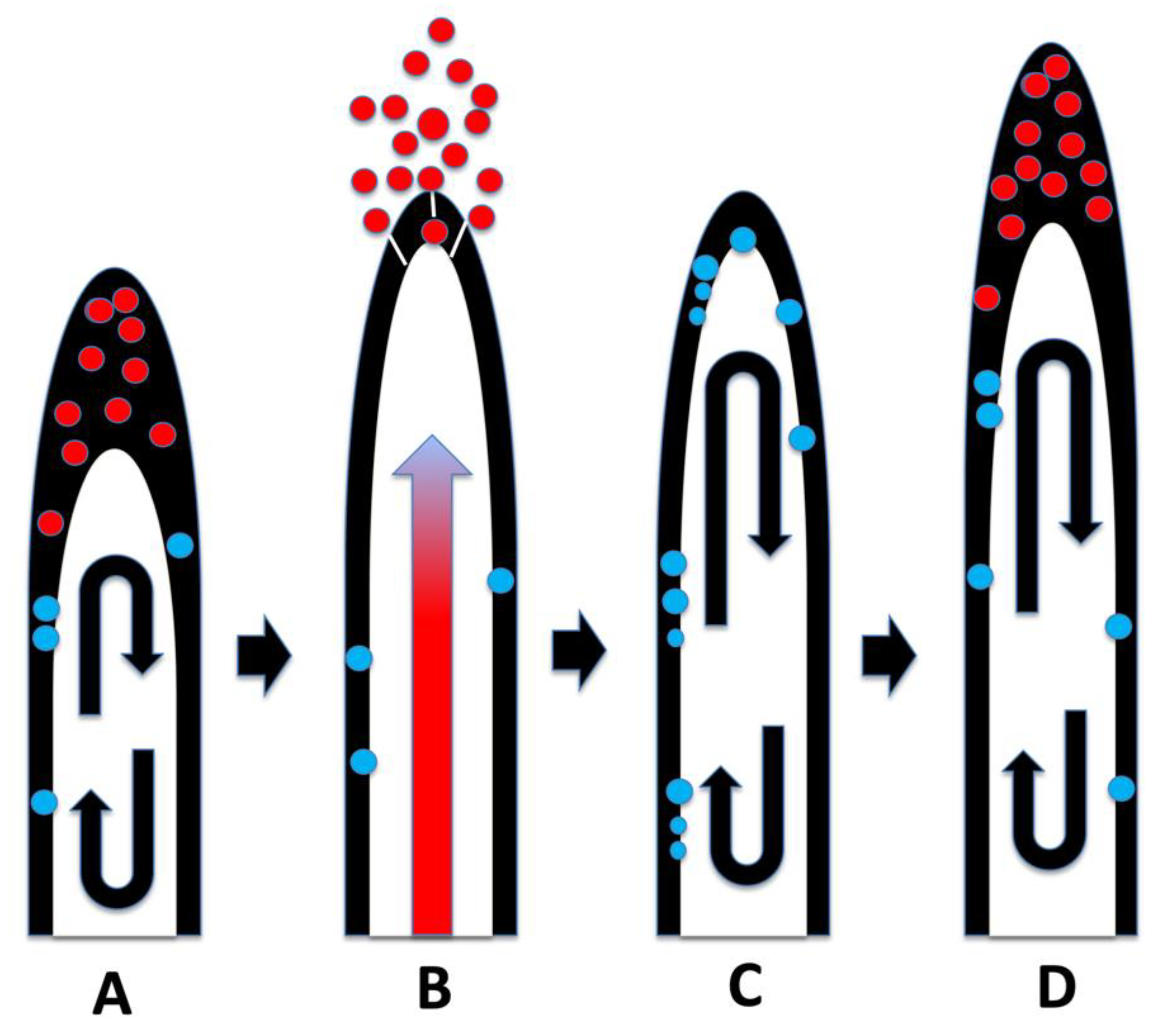 Microorganisms 09 01041 g019