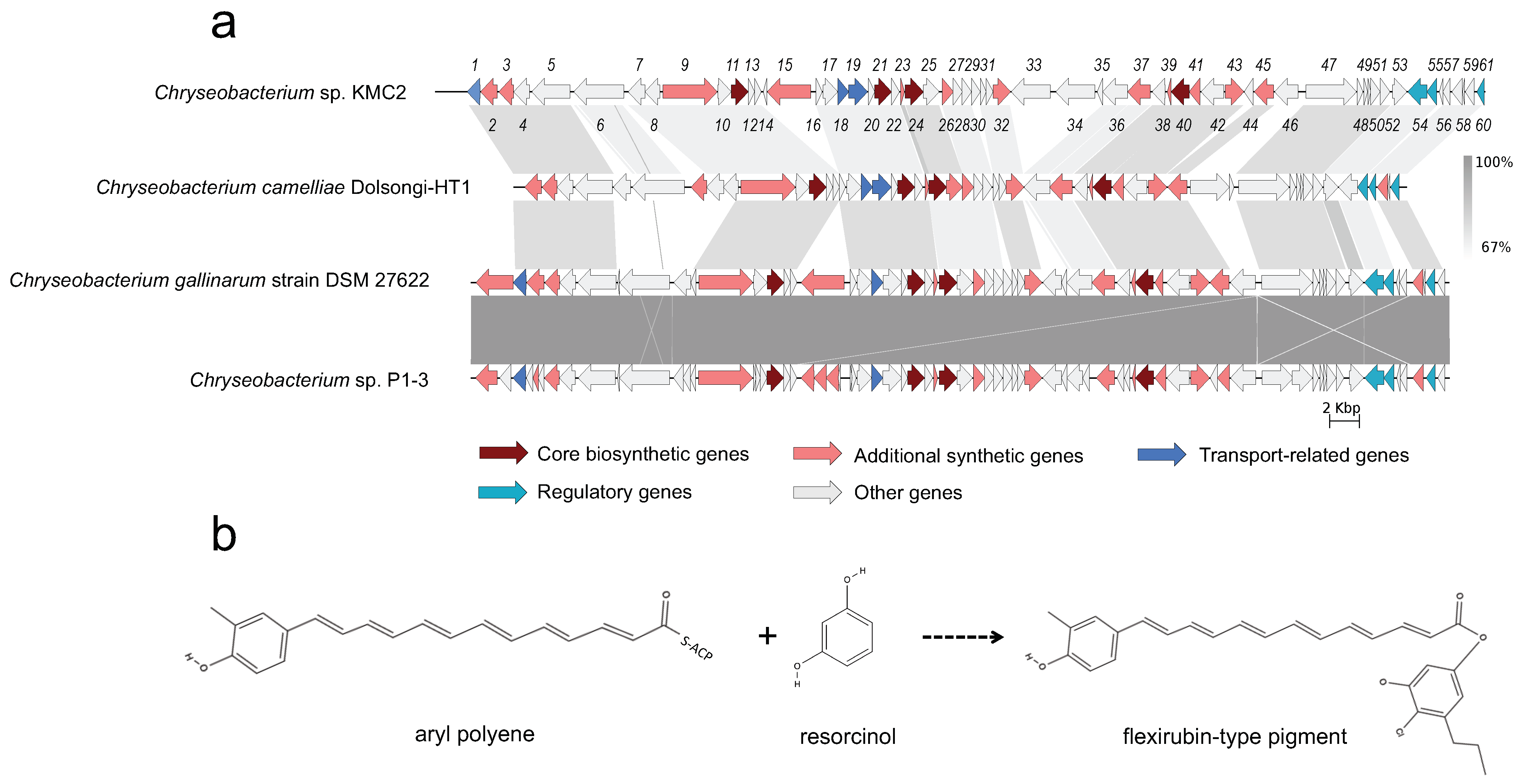 Microorganisms 09 01042 g004 Microorganisms 09 01042 g004