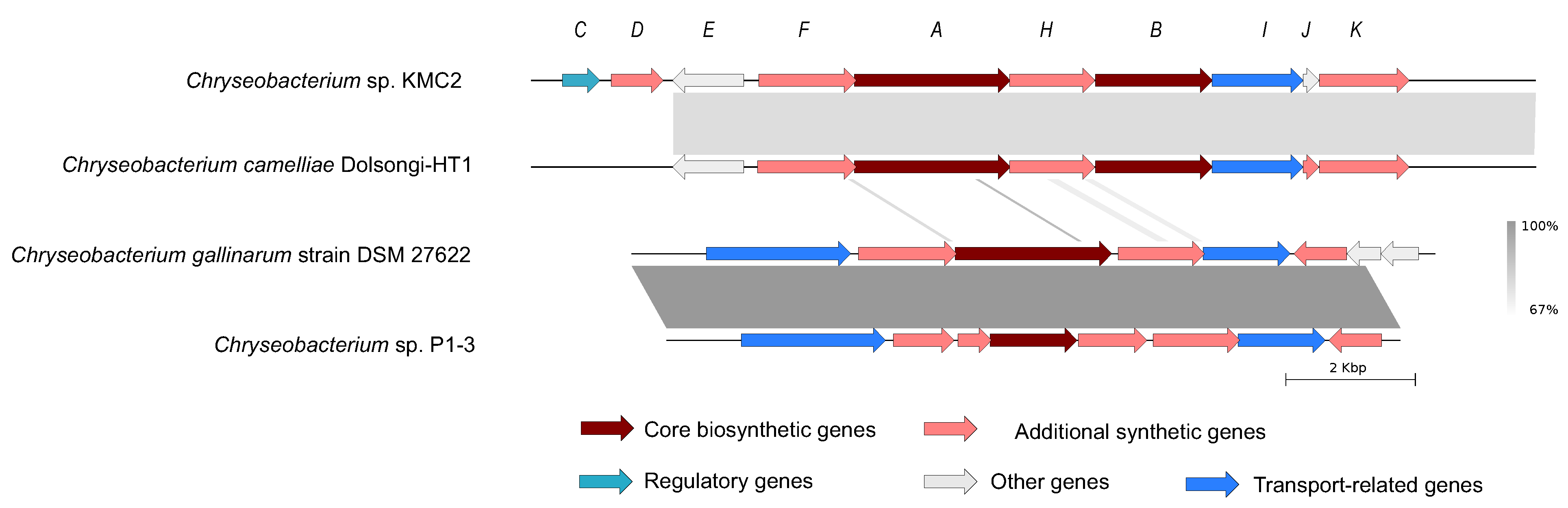 Microorganisms 09 01042 g006 Microorganisms 09 01042 g006
