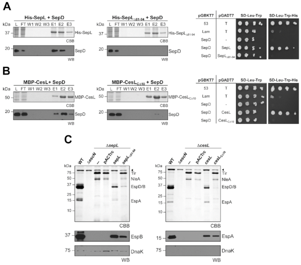 Microorganisms 09 01047 g003 Microorganisms 09 01047 g003