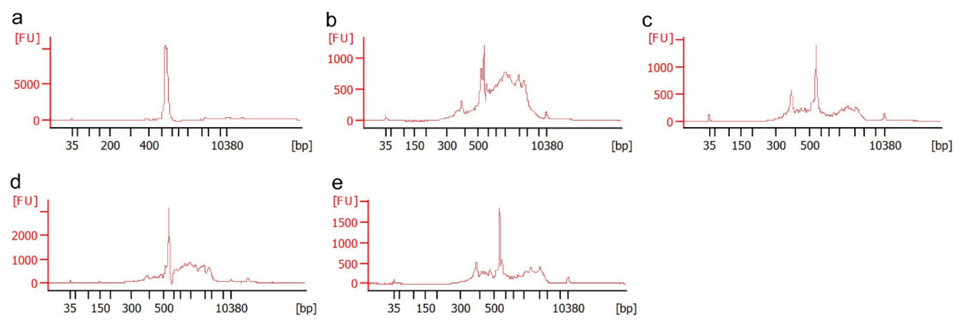 Microorganisms 09 01051 g003 Microorganisms 09 01051 g003