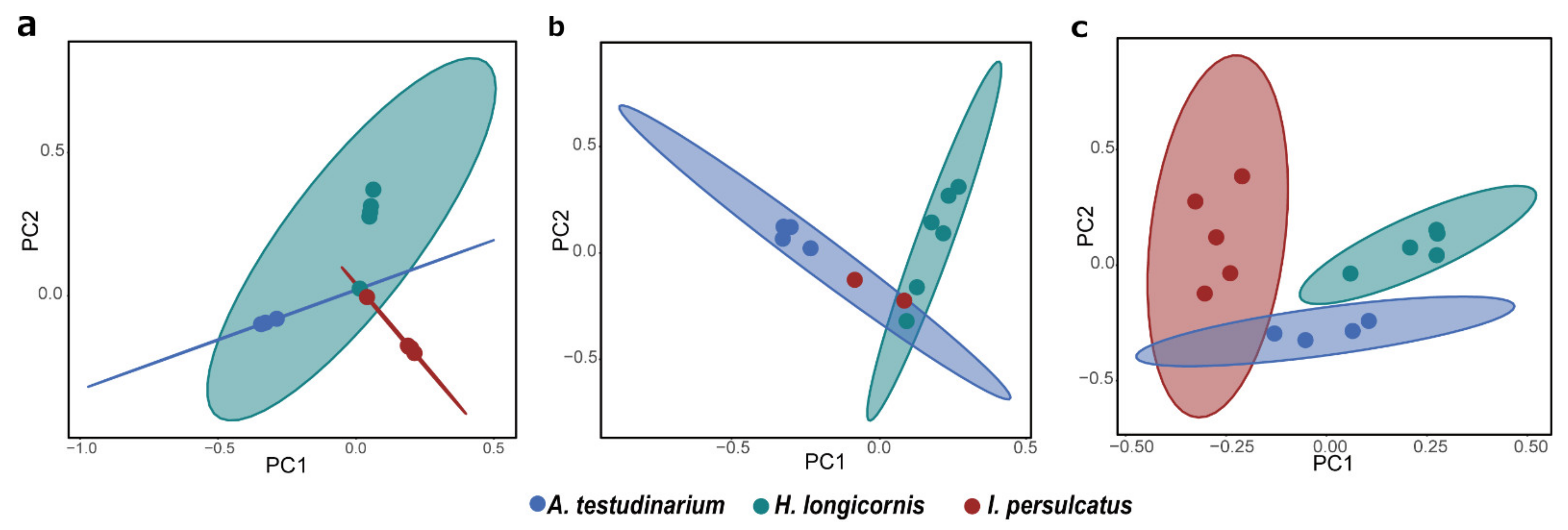 Microorganisms 09 01051 g007 Microorganisms 09 01051 g007