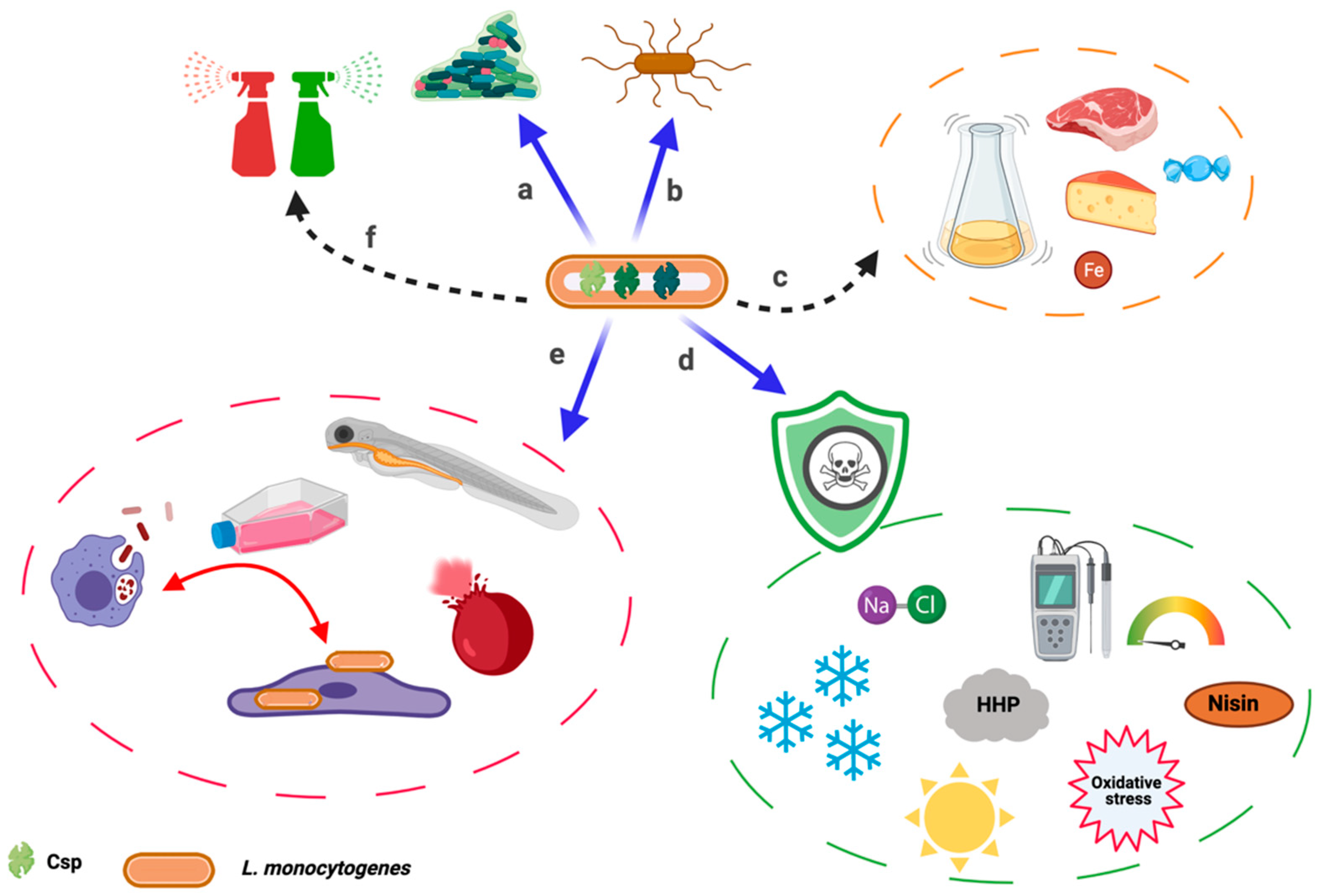 Microorganisms 09 01061 g002