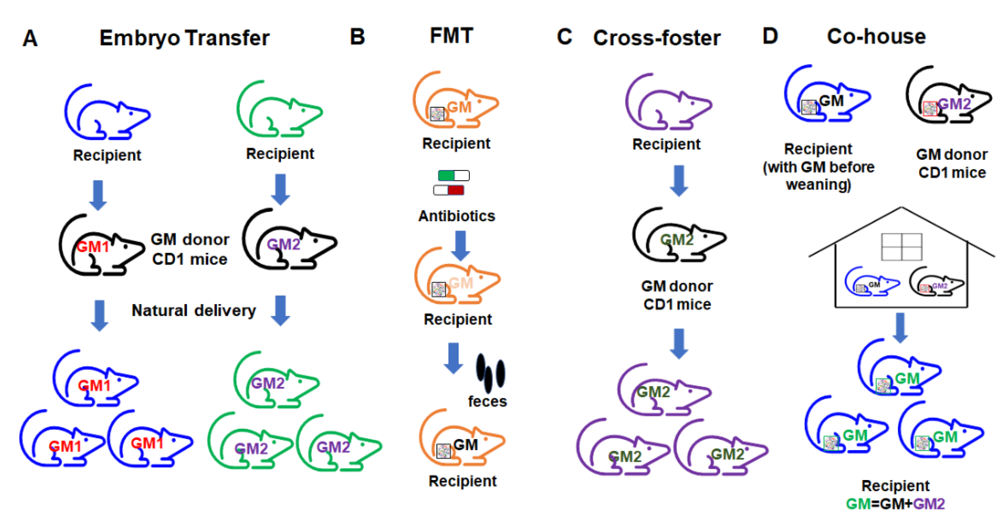 Microorganisms 09 01062 g006