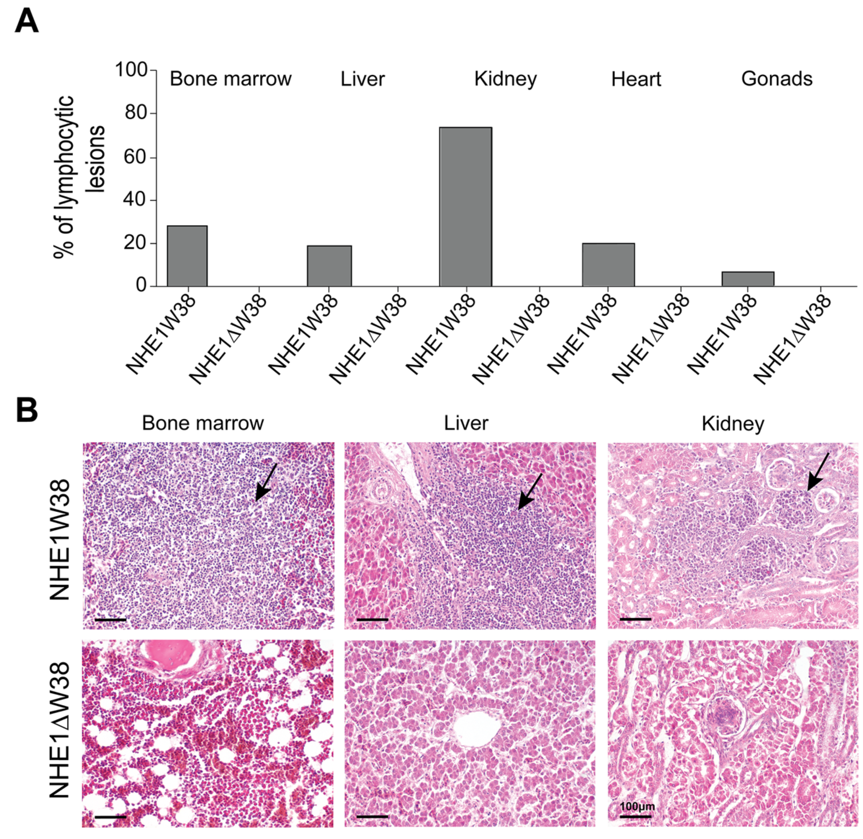 Microorganisms 09 01066 g003 Microorganisms 09 01066 g003