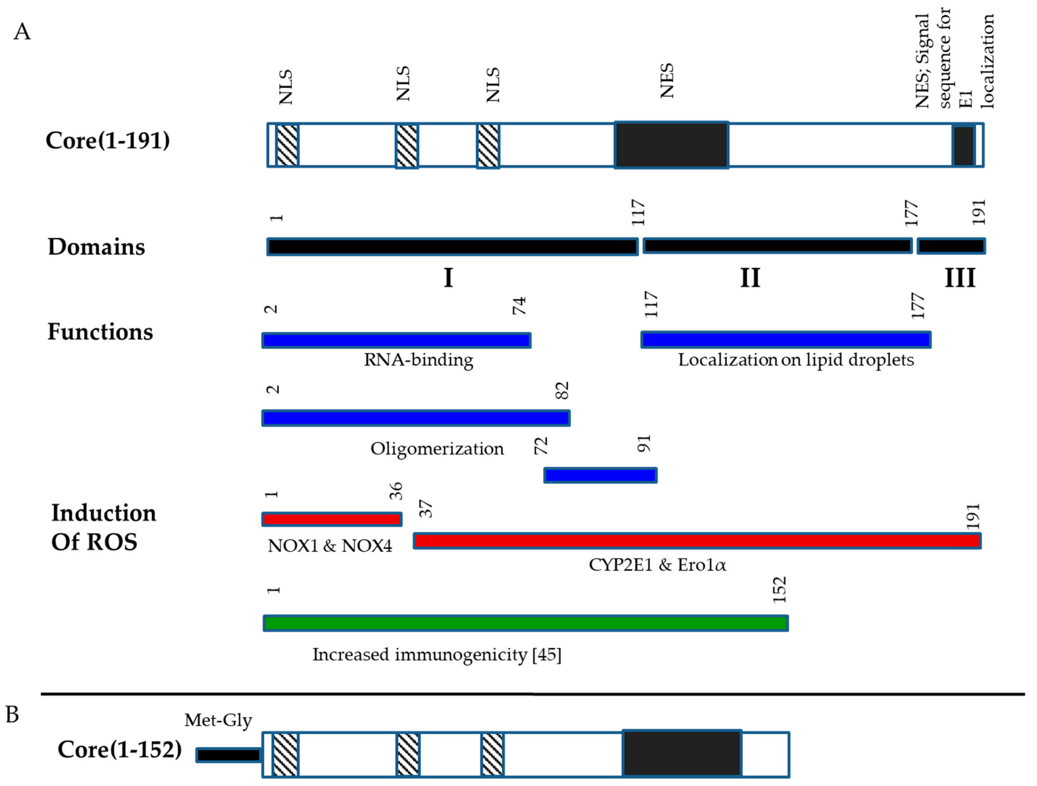 Microorganisms 09 01073 g001 Microorganisms 09 01073 g001
