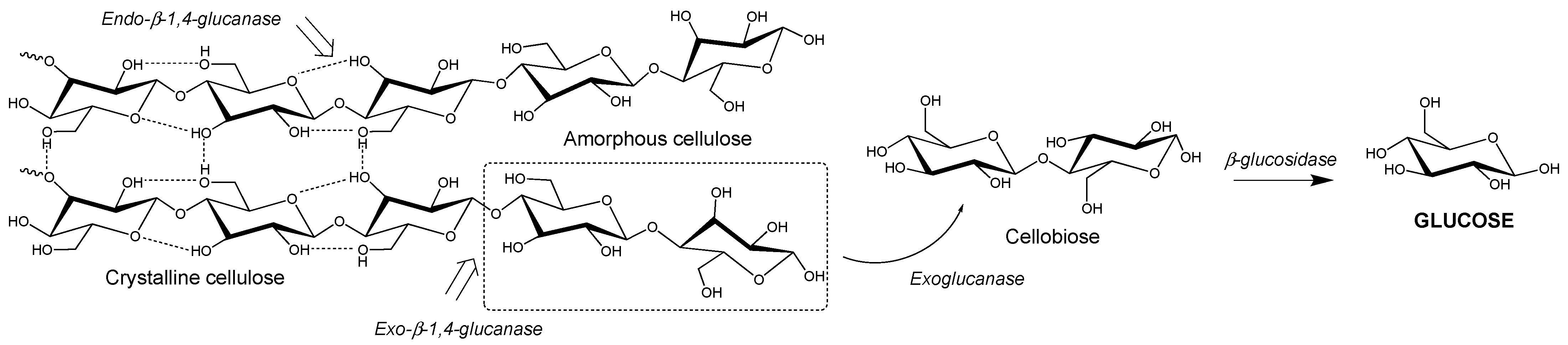 Microorganisms 09 01079 g001 Microorganisms 09 01079 g001