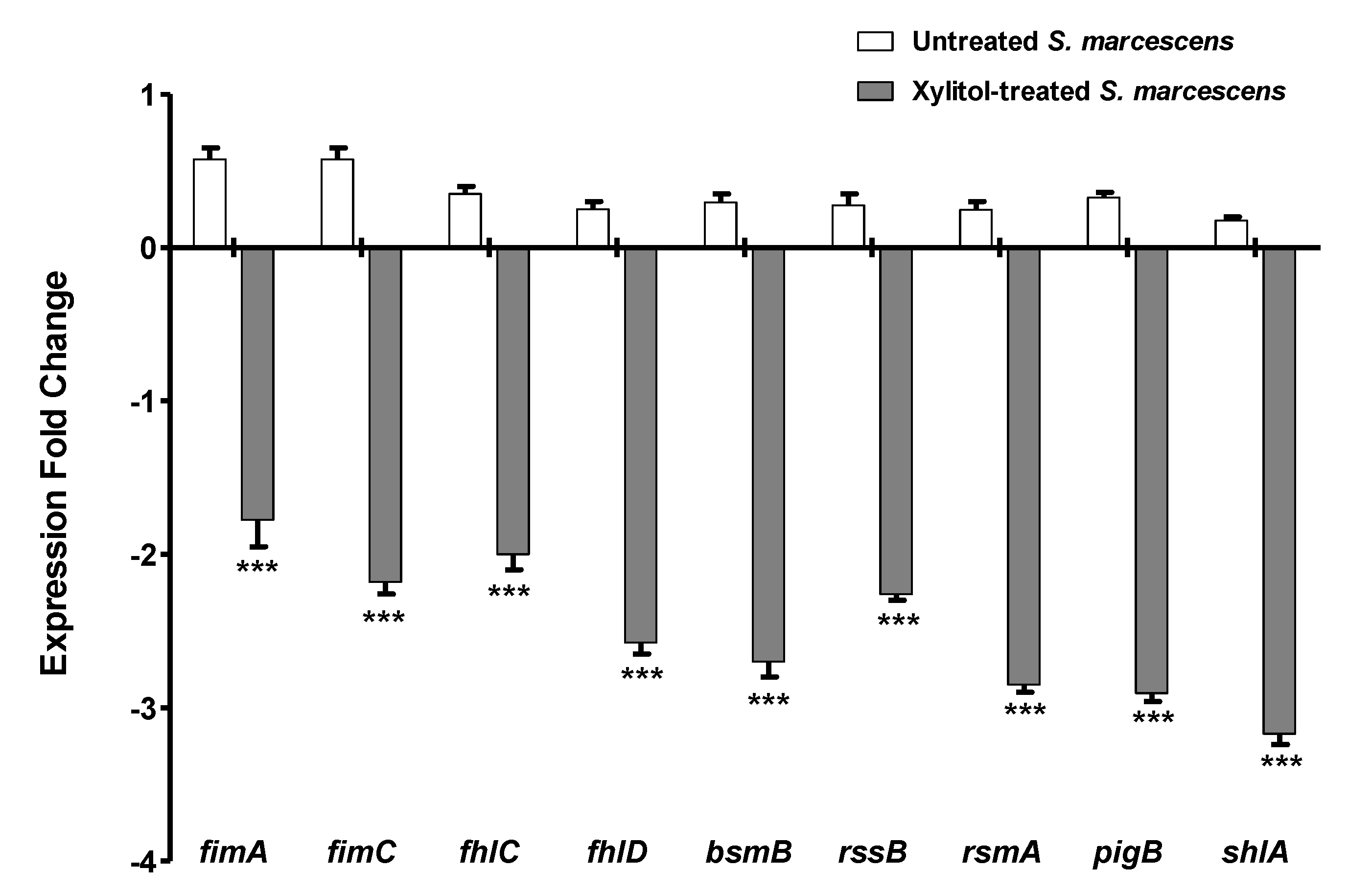 xilitol dysbiosis exofita gombás papilla