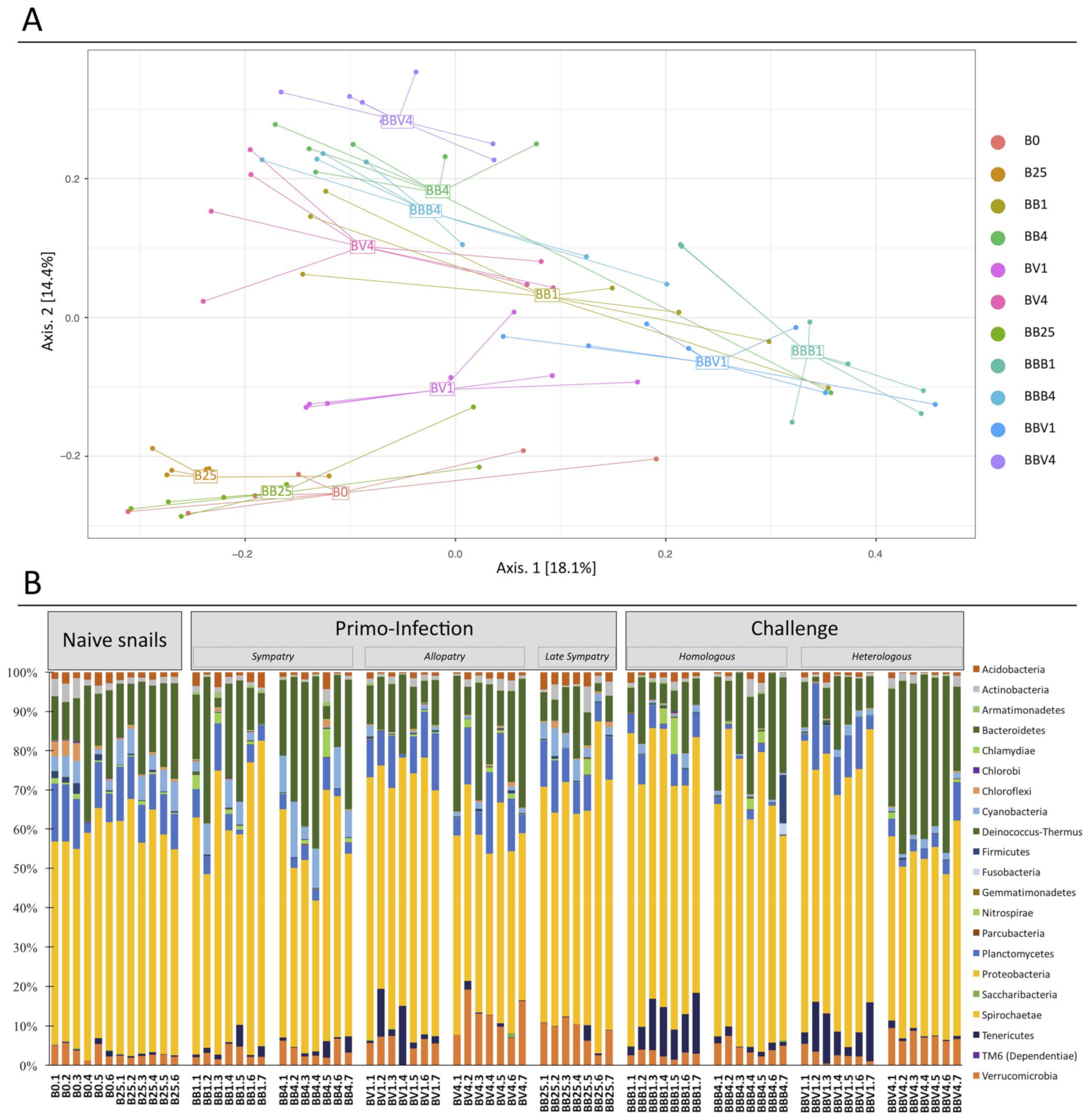 Microorganisms 09 01084 g004