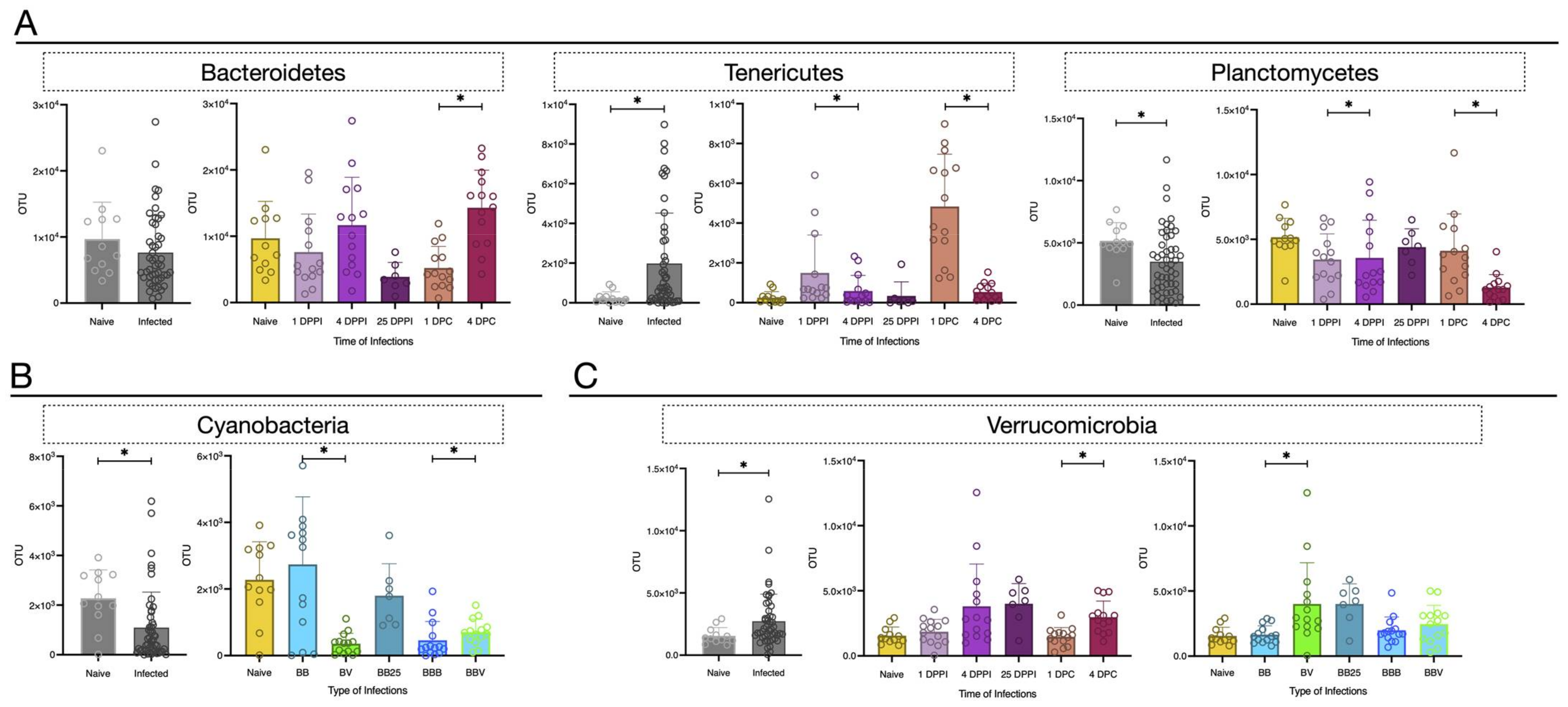 Microorganisms 09 01084 g005