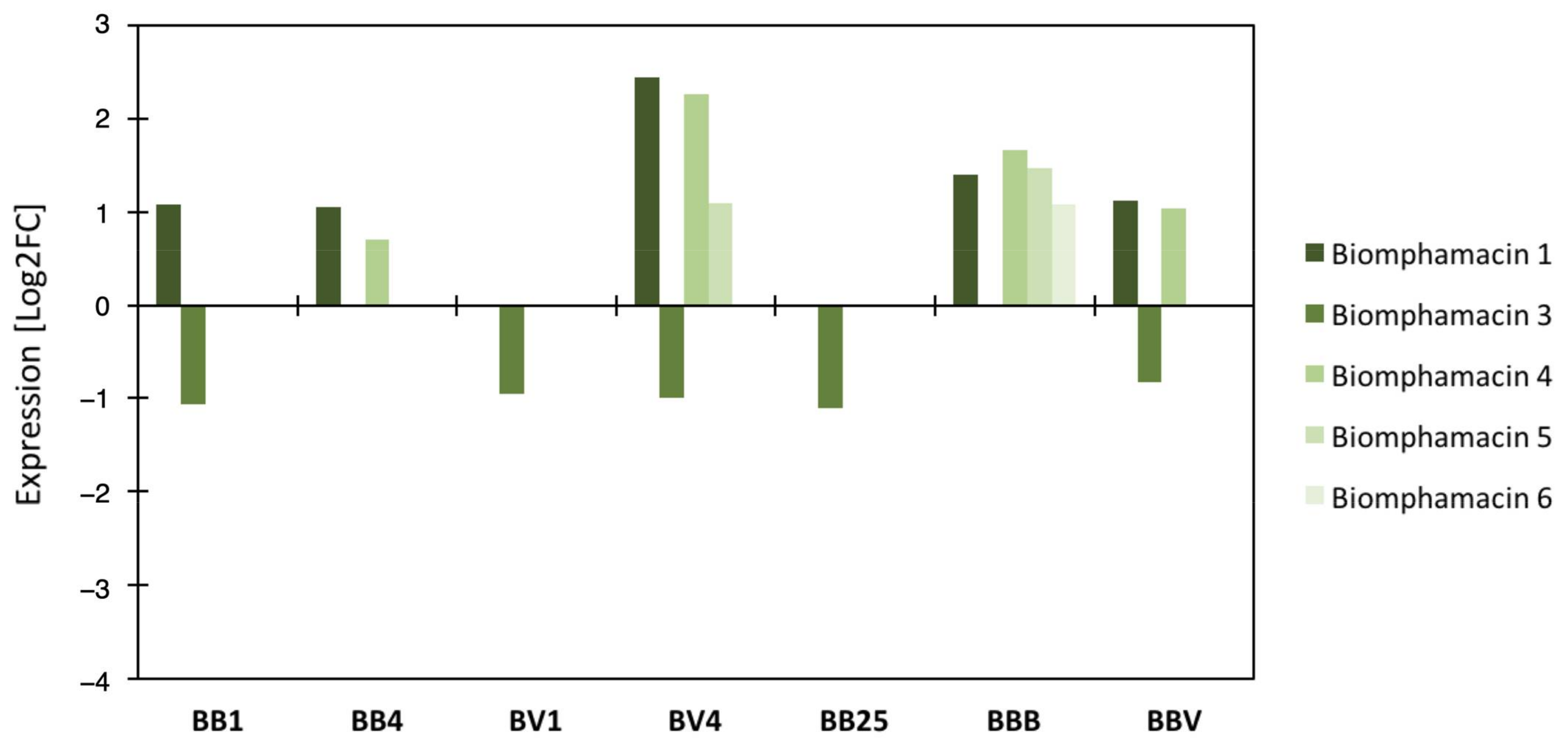 Microorganisms 09 01084 g006