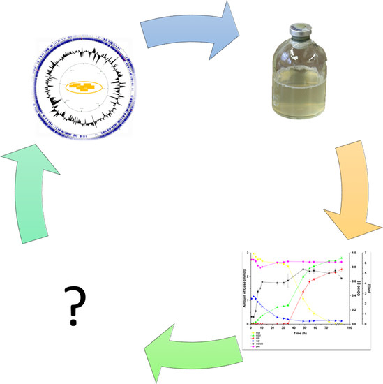 Free FullText Carbon Monoxide Induced