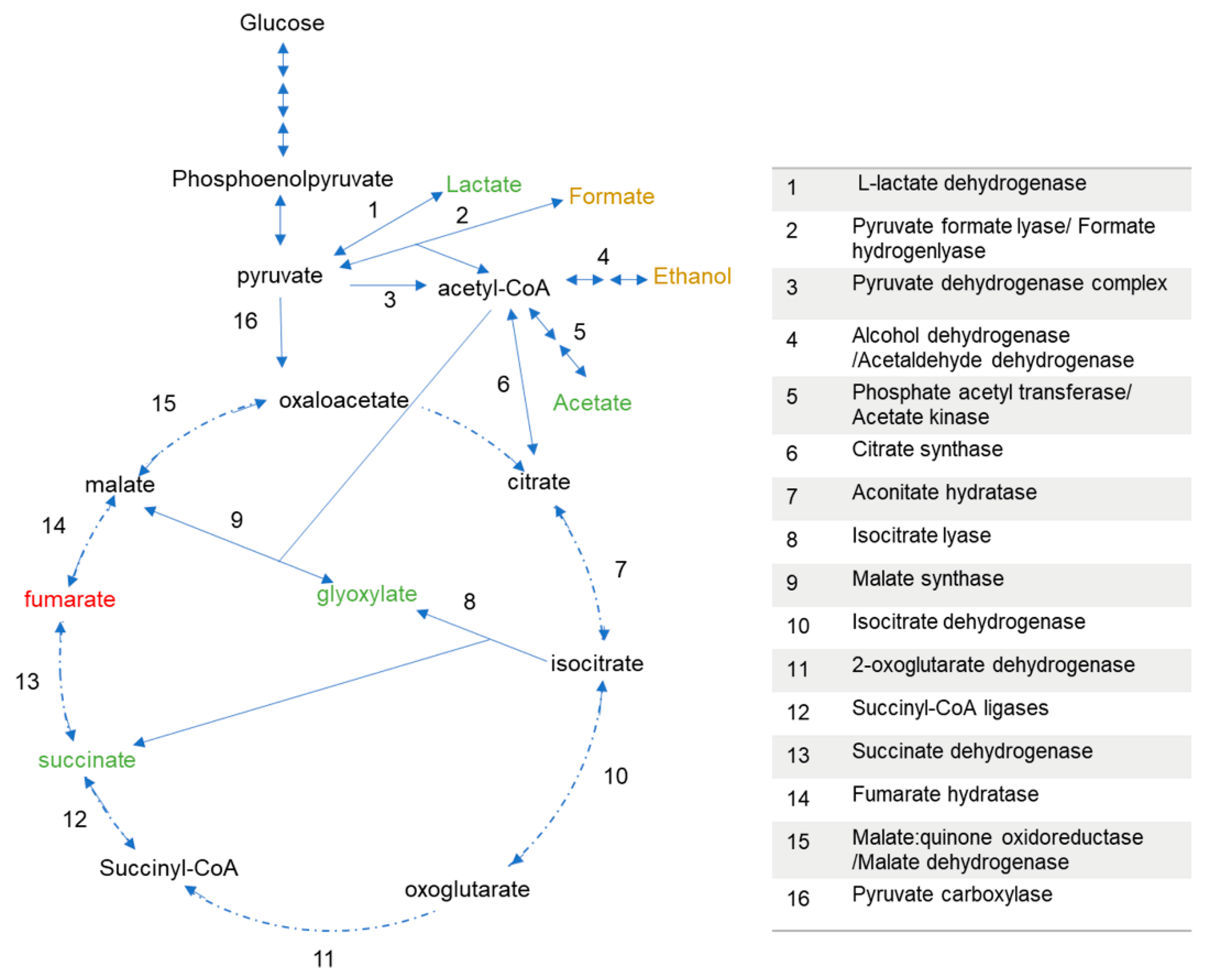 Microorganisms 09 01090 g006