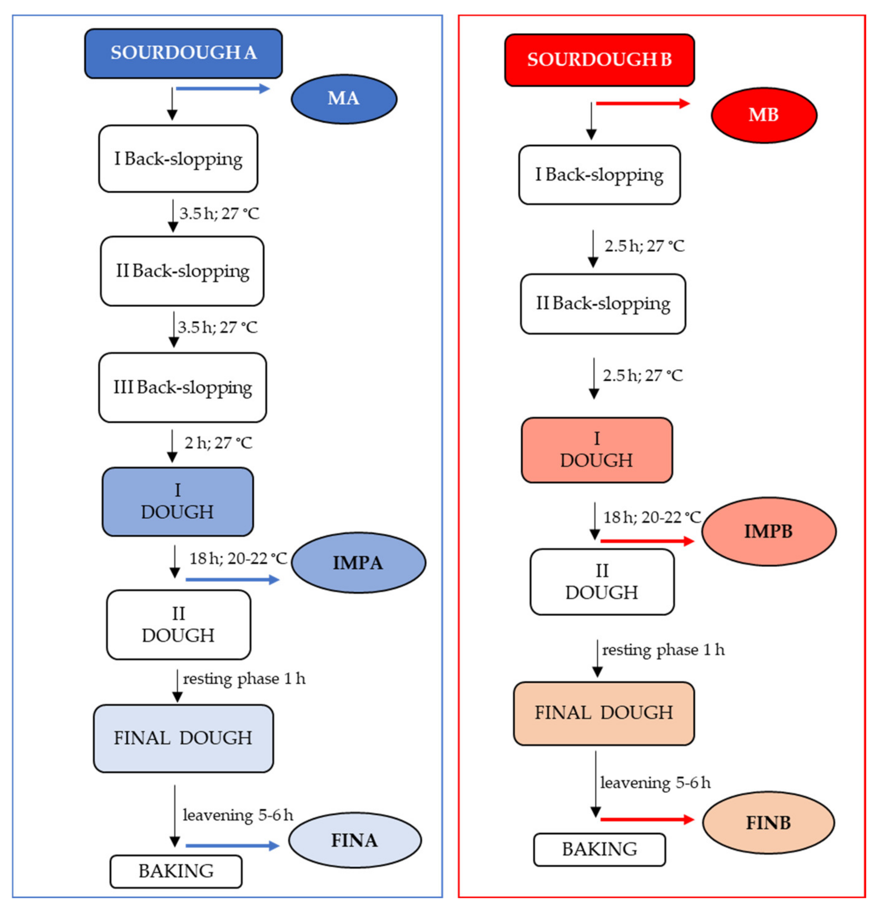 Microorganisms 09 01093 g001