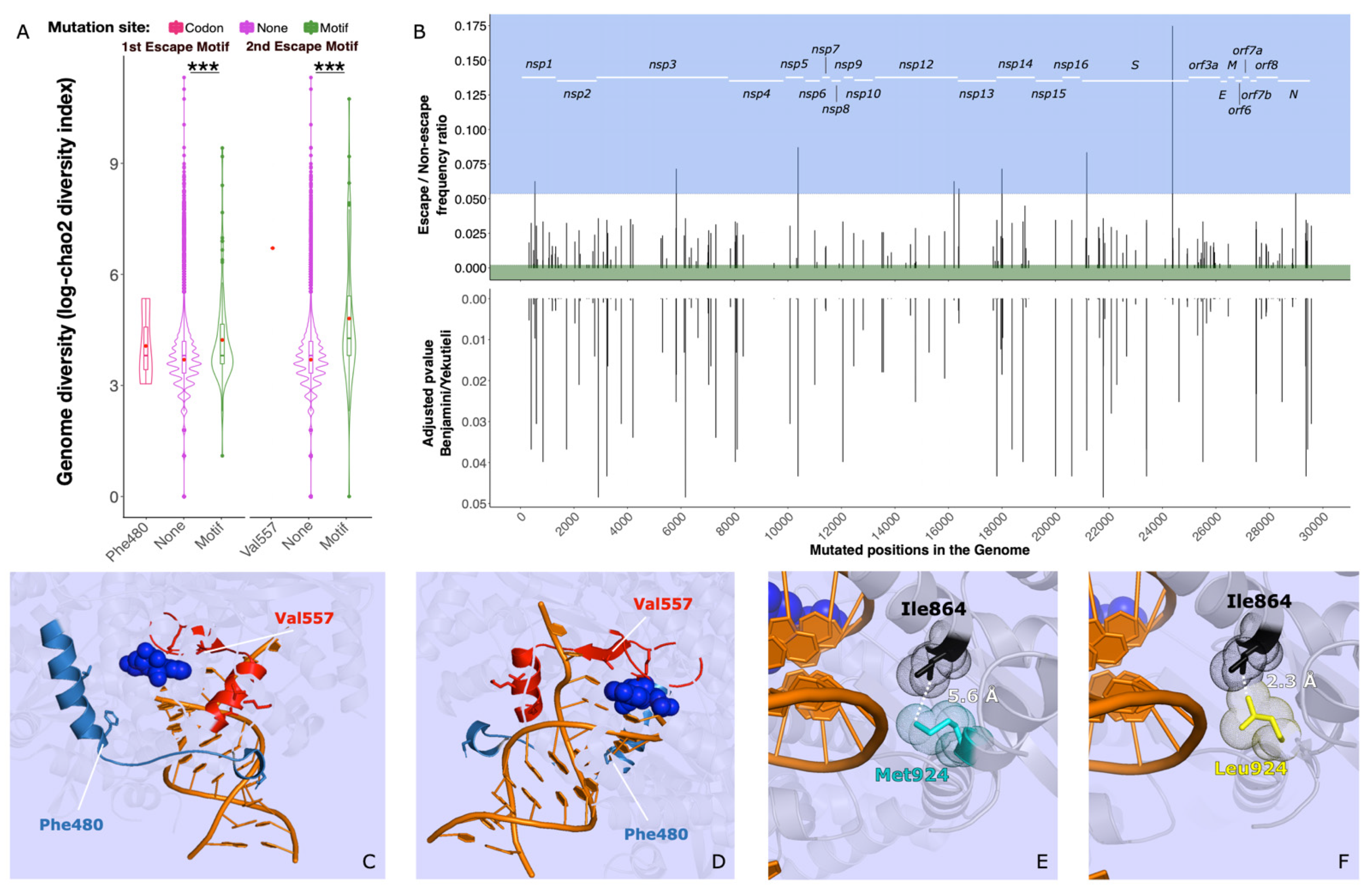 Microorganisms 09 01094 g003