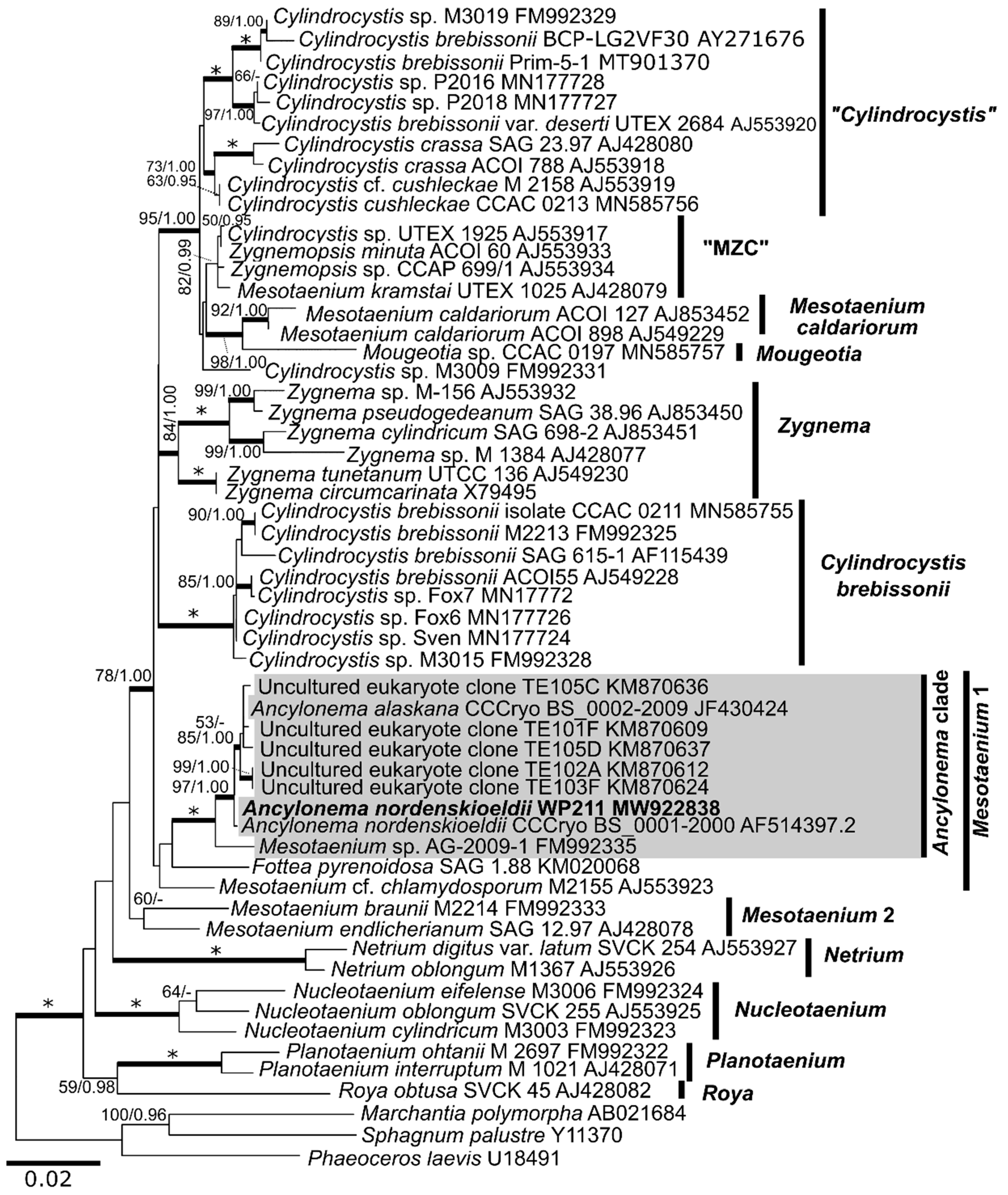 Microorganisms 09 01103 g002