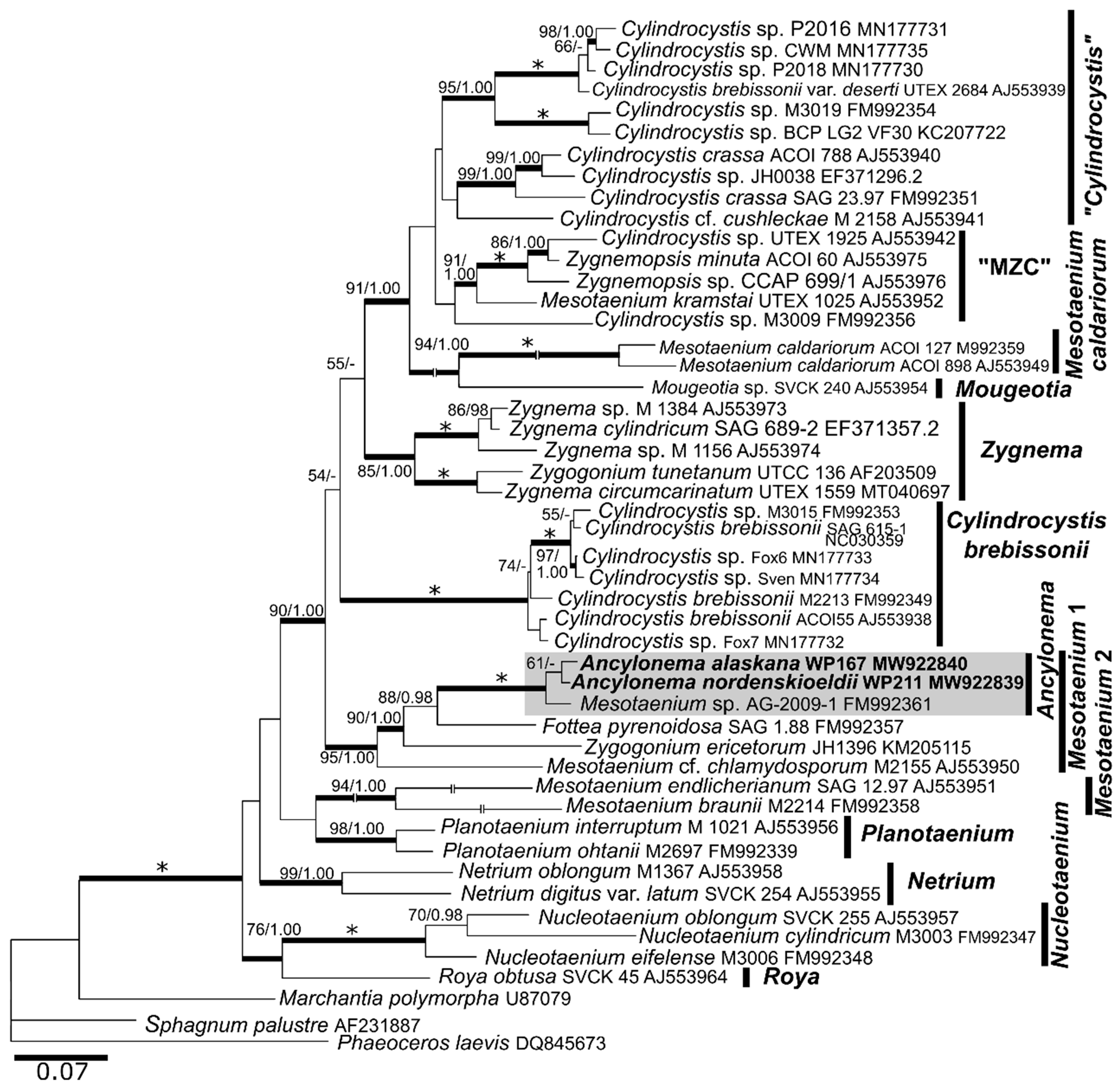 Microorganisms 09 01103 g003