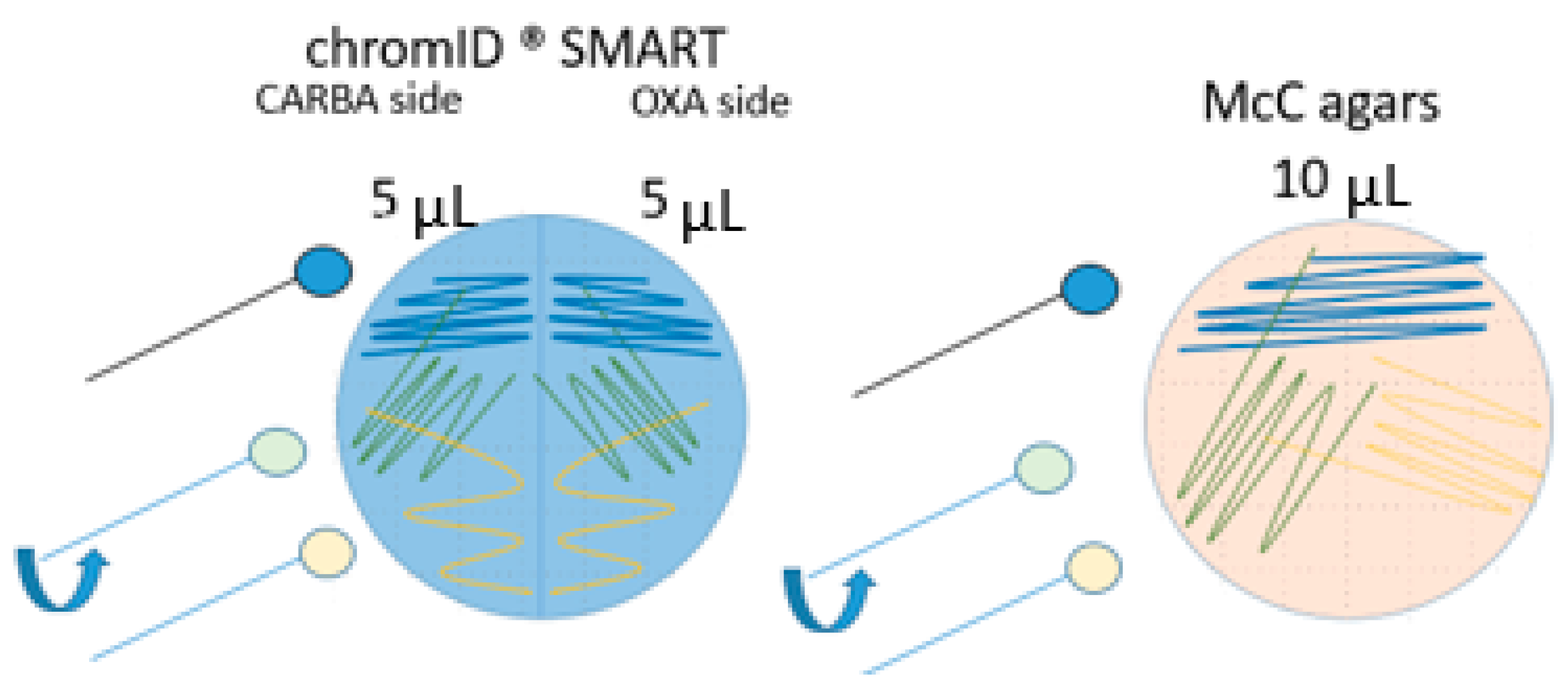 Microorganisms 09 01105 g002