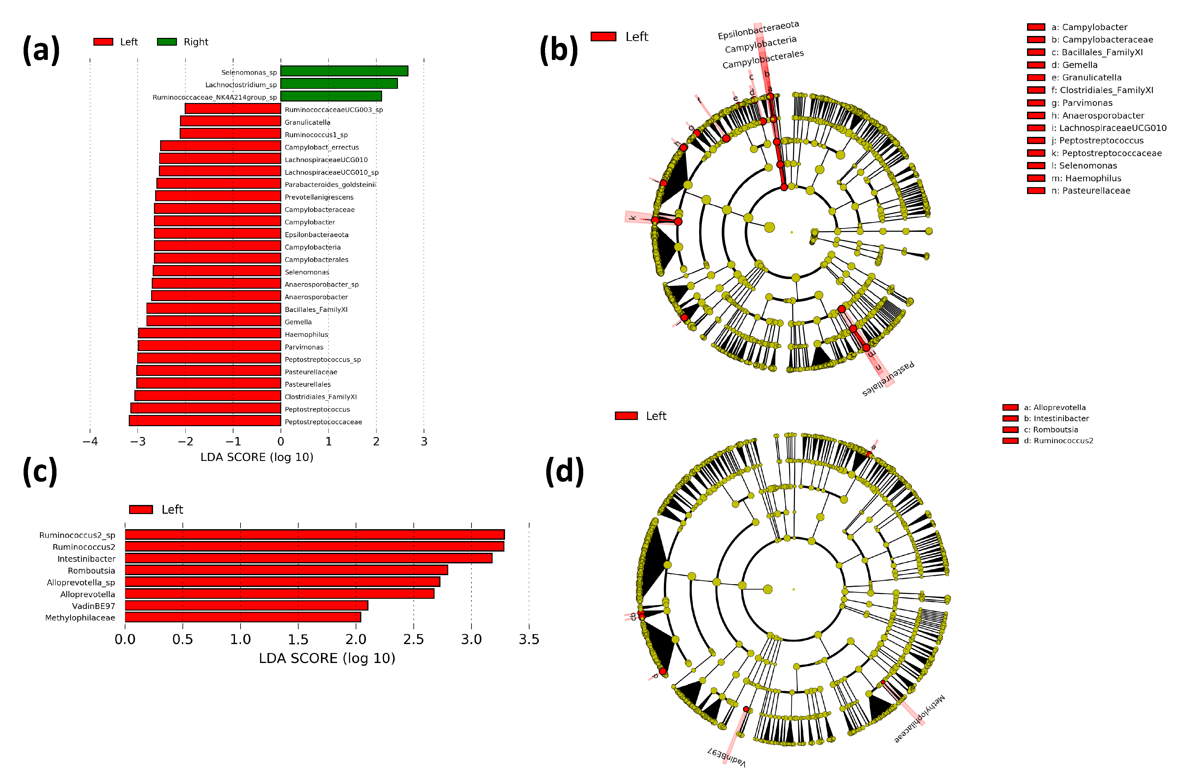 Microorganisms 09 01108 g005