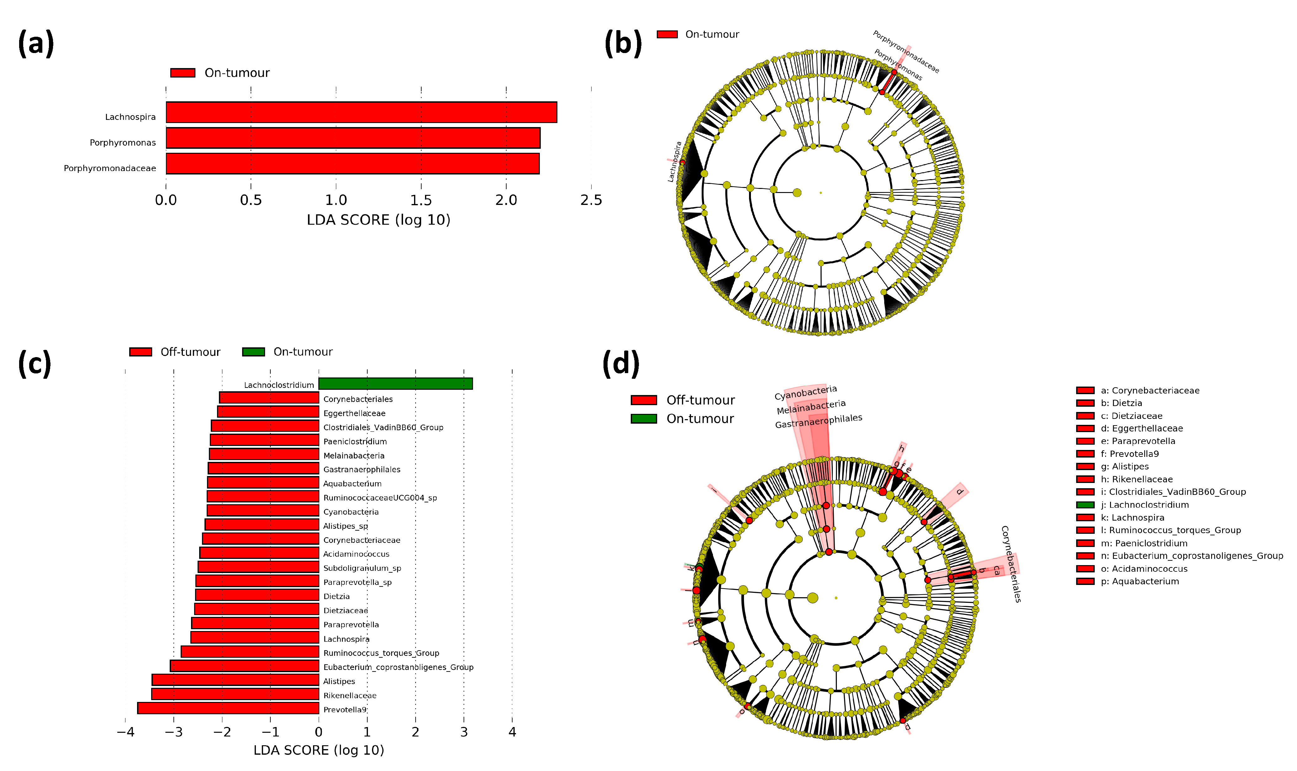 Microorganisms 09 01108 g006