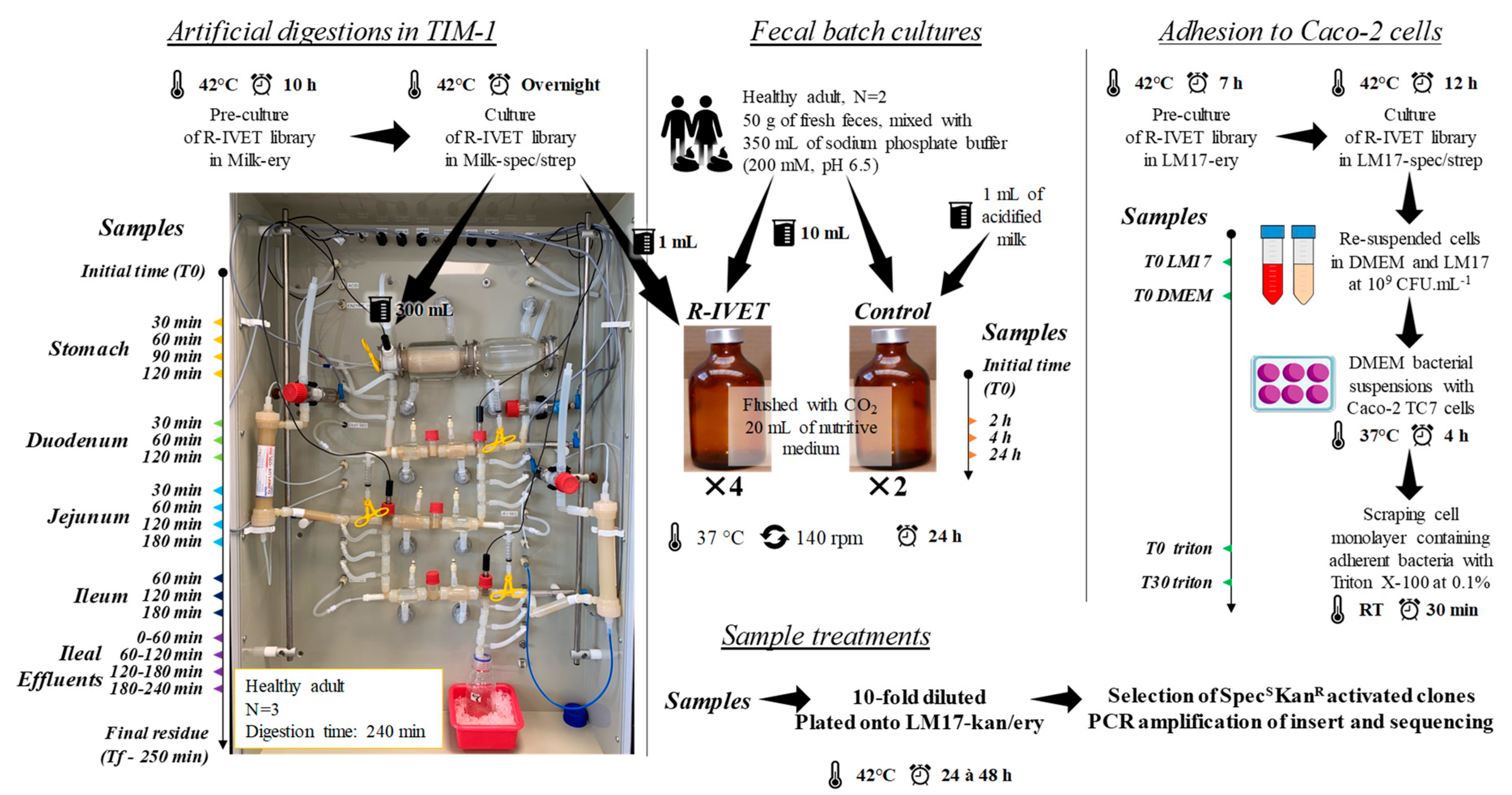 Microorganisms 09 01113 g002 Microorganisms 09 01113 g002