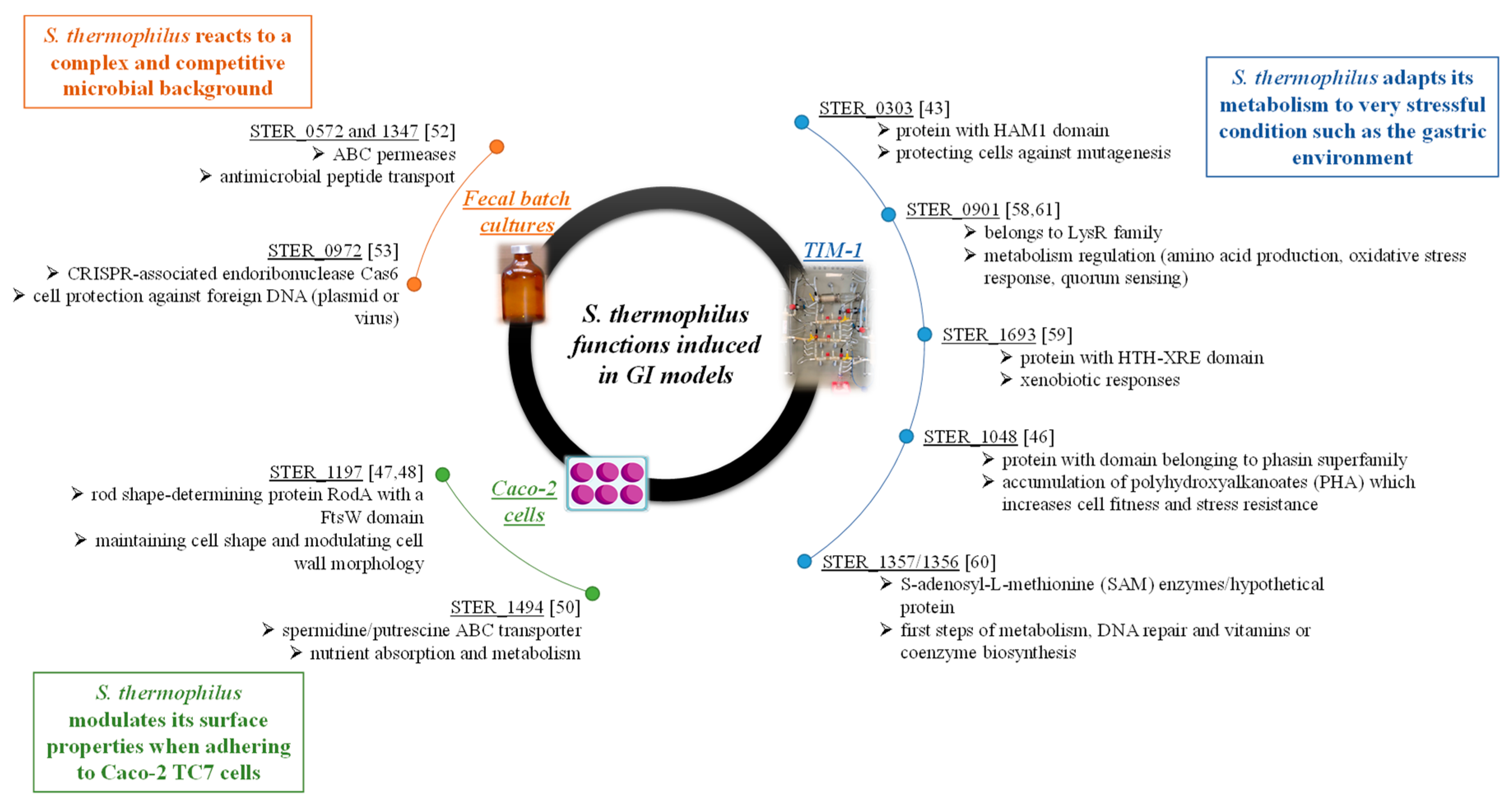 Microorganisms 09 01113 g007 Microorganisms 09 01113 g007