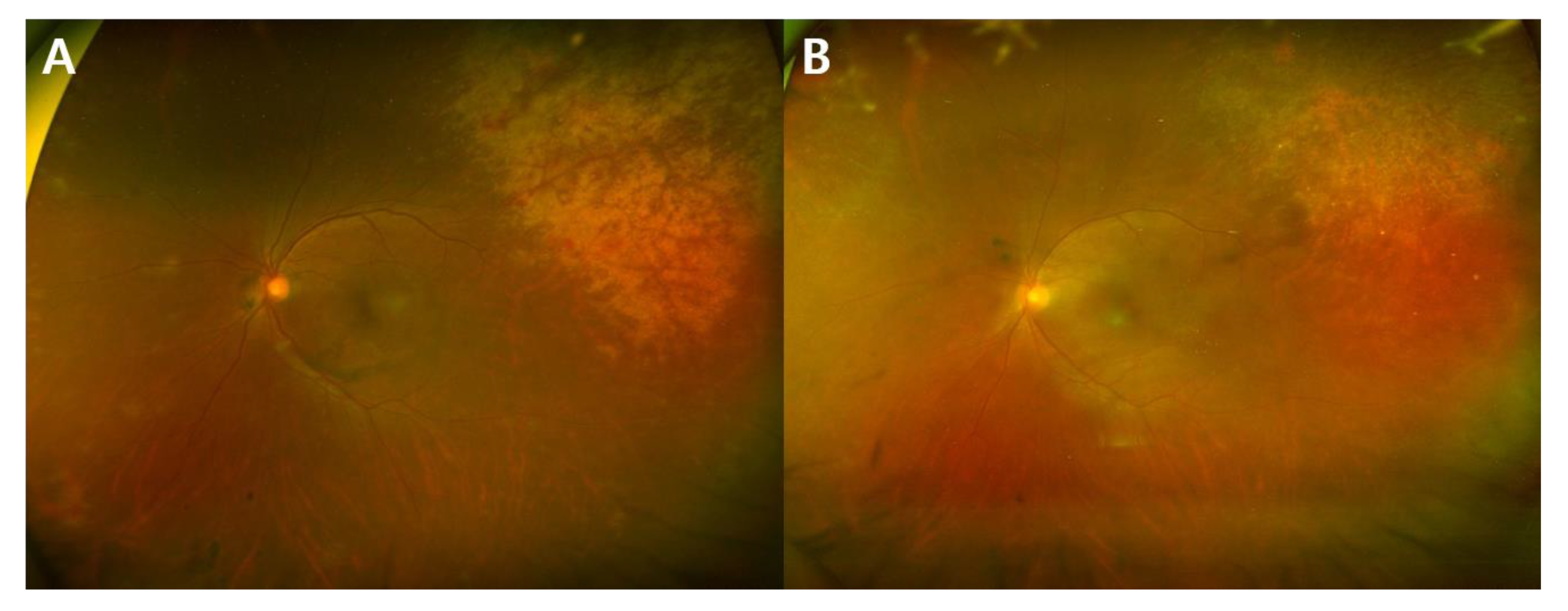 Microorganisms 09 01114 g001 Microorganisms 09 01114 g001