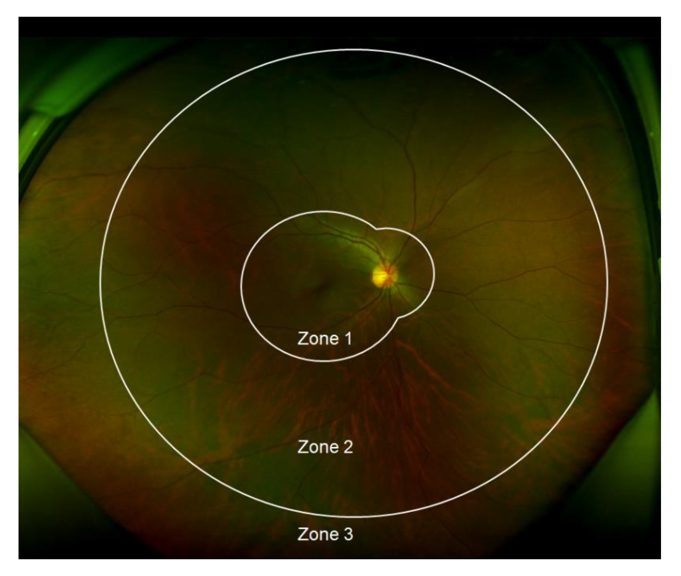Microorganisms 09 01114 g002 Microorganisms 09 01114 g002