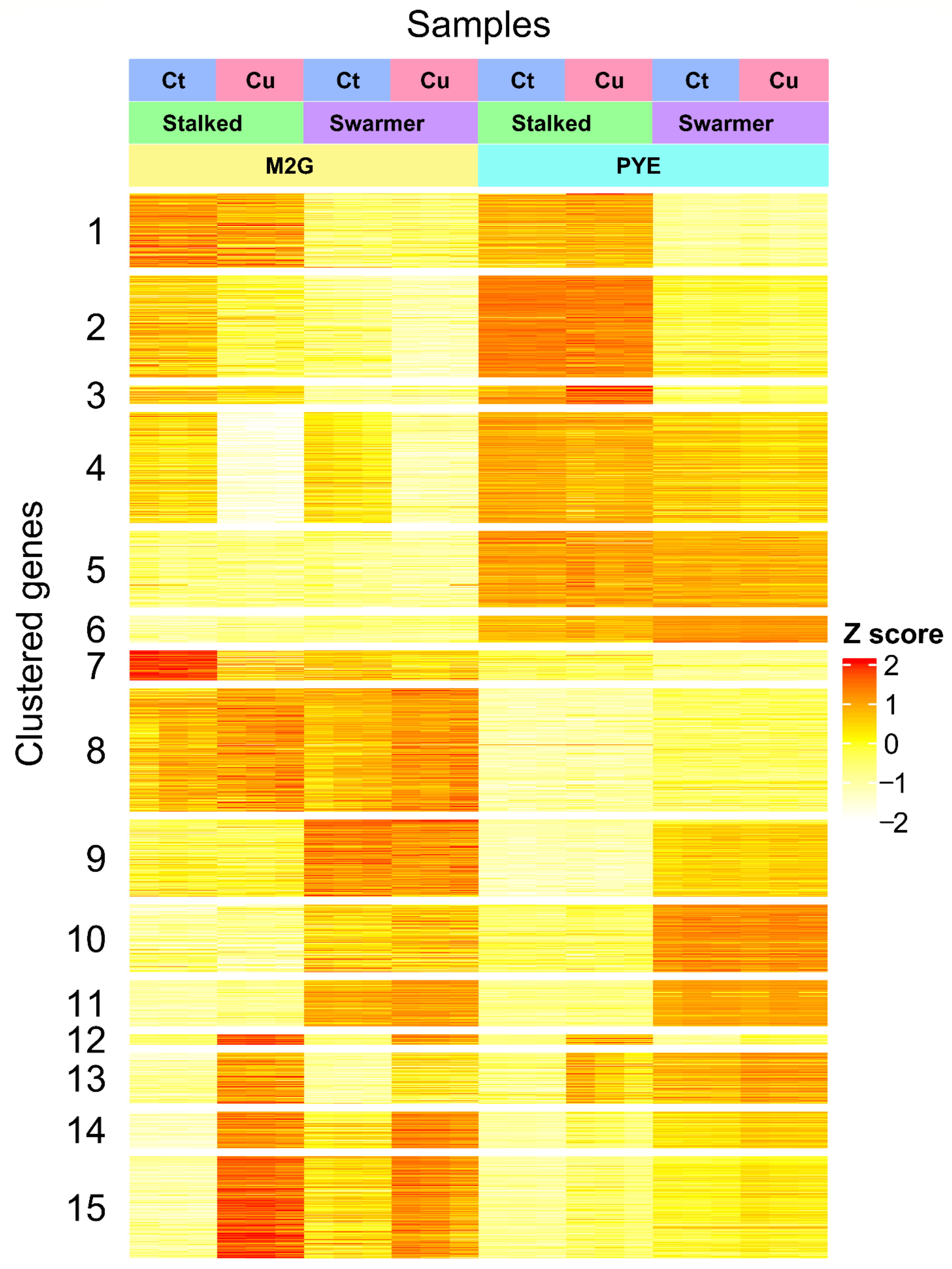 Microorganisms 09 01116 g004 Microorganisms 09 01116 g004