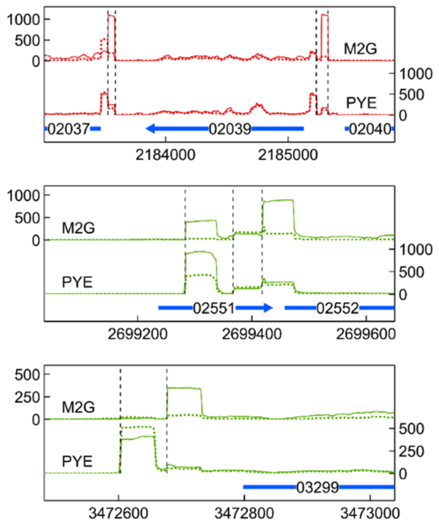 Microorganisms 09 01116 g010 Microorganisms 09 01116 g010
