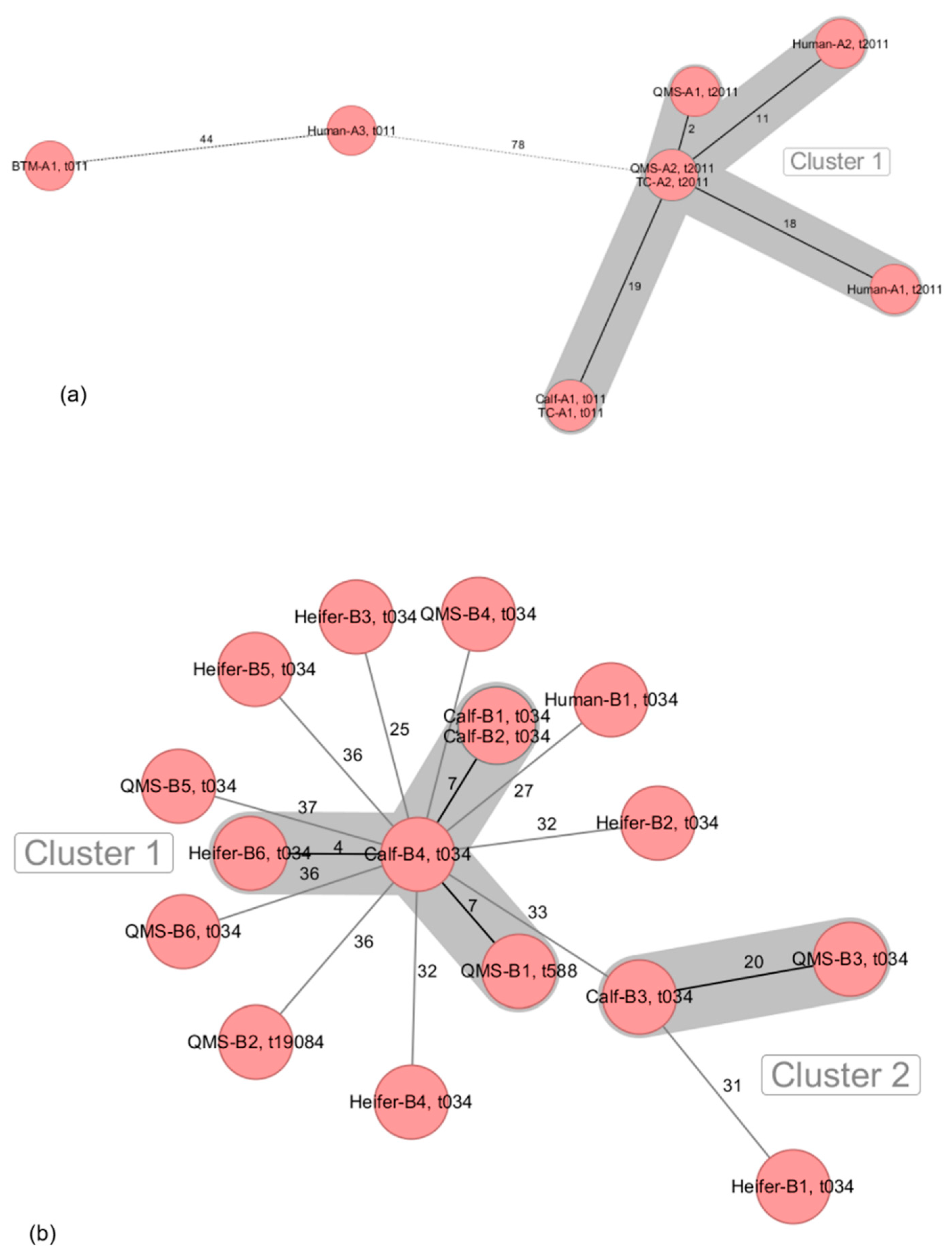 Microorganisms 09 01119 g001