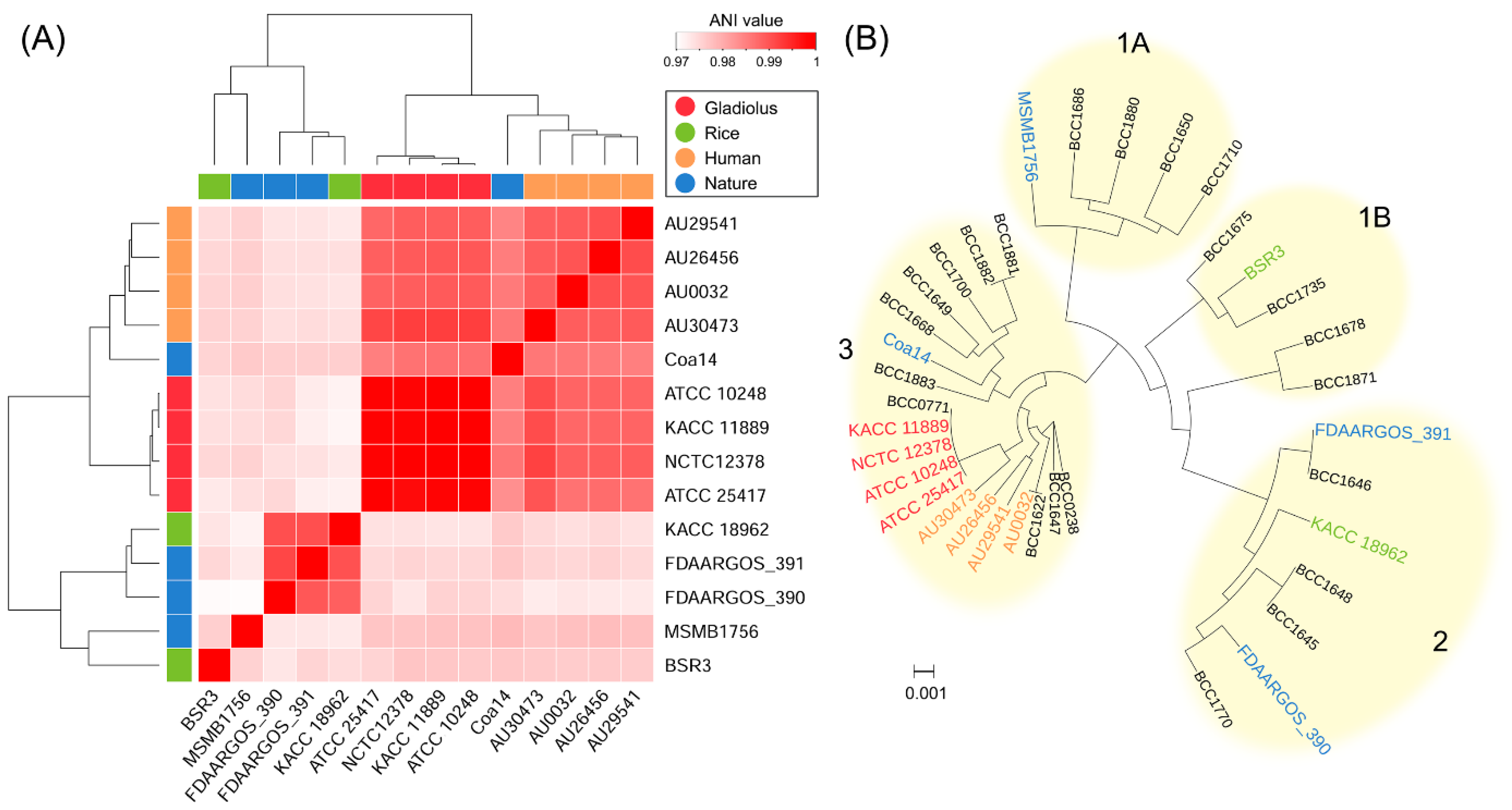 Microorganisms 09 01123 g002