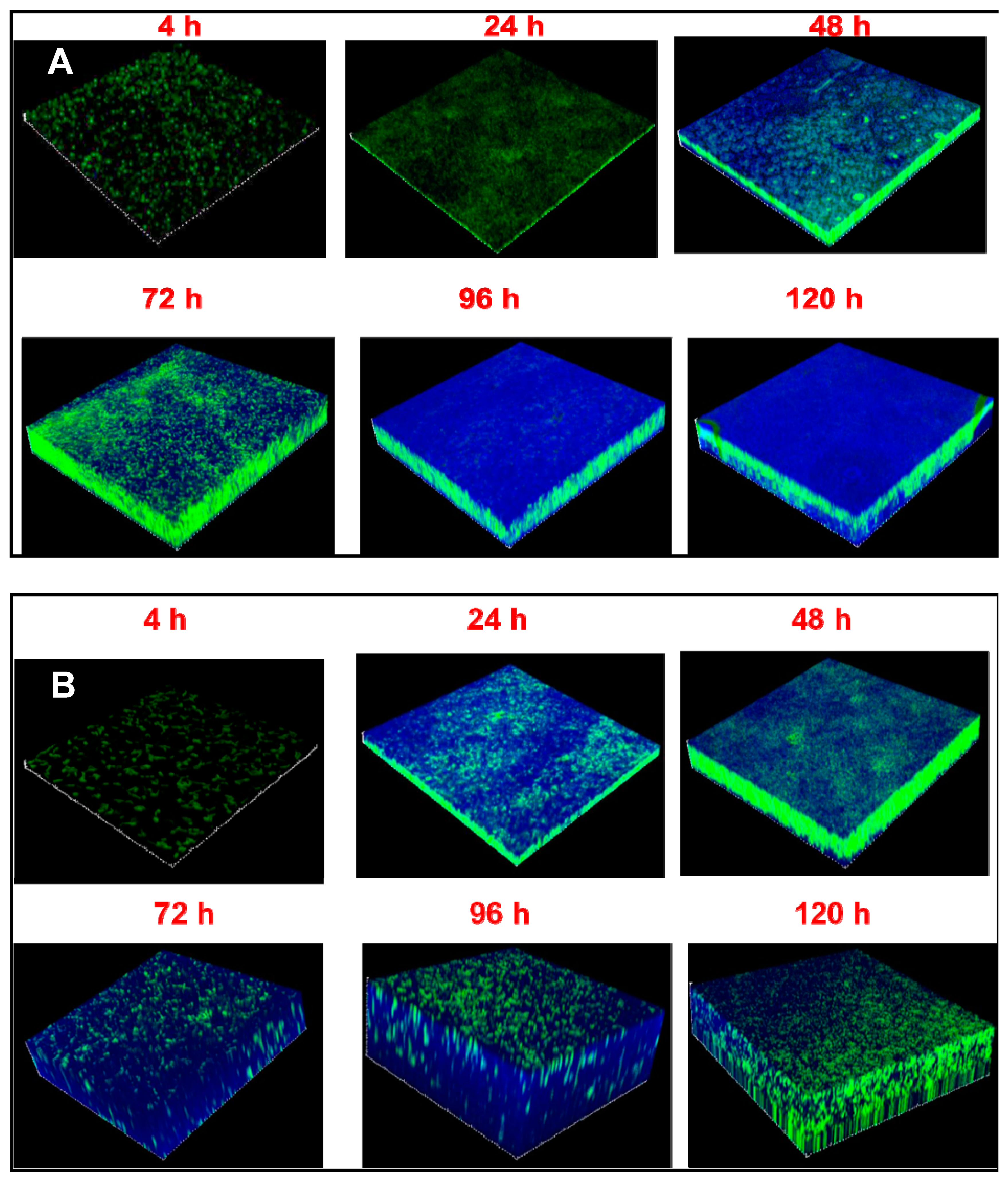 Microorganisms 09 01124 g002