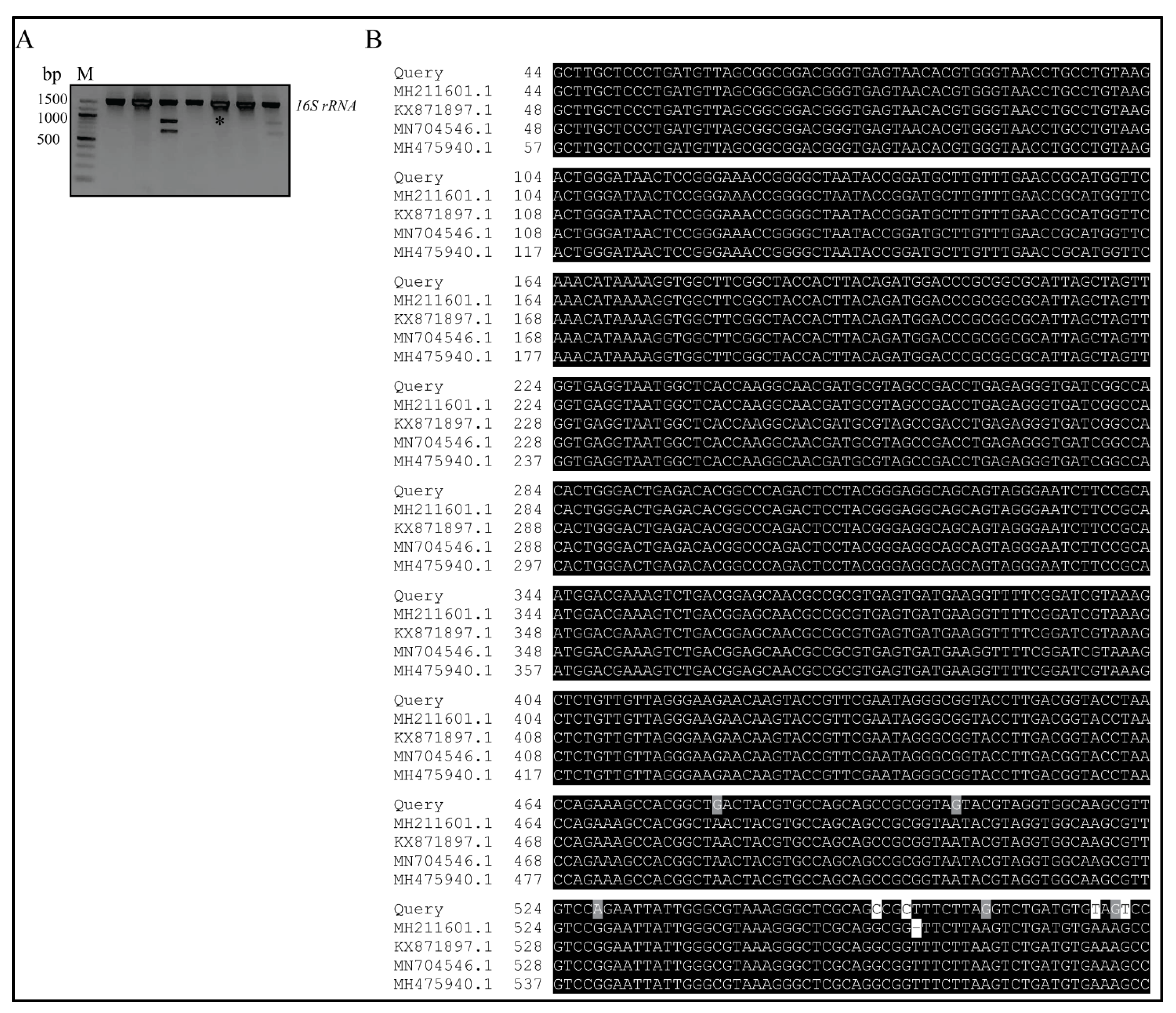 Microorganisms 09 01131 g002 Microorganisms 09 01131 g002