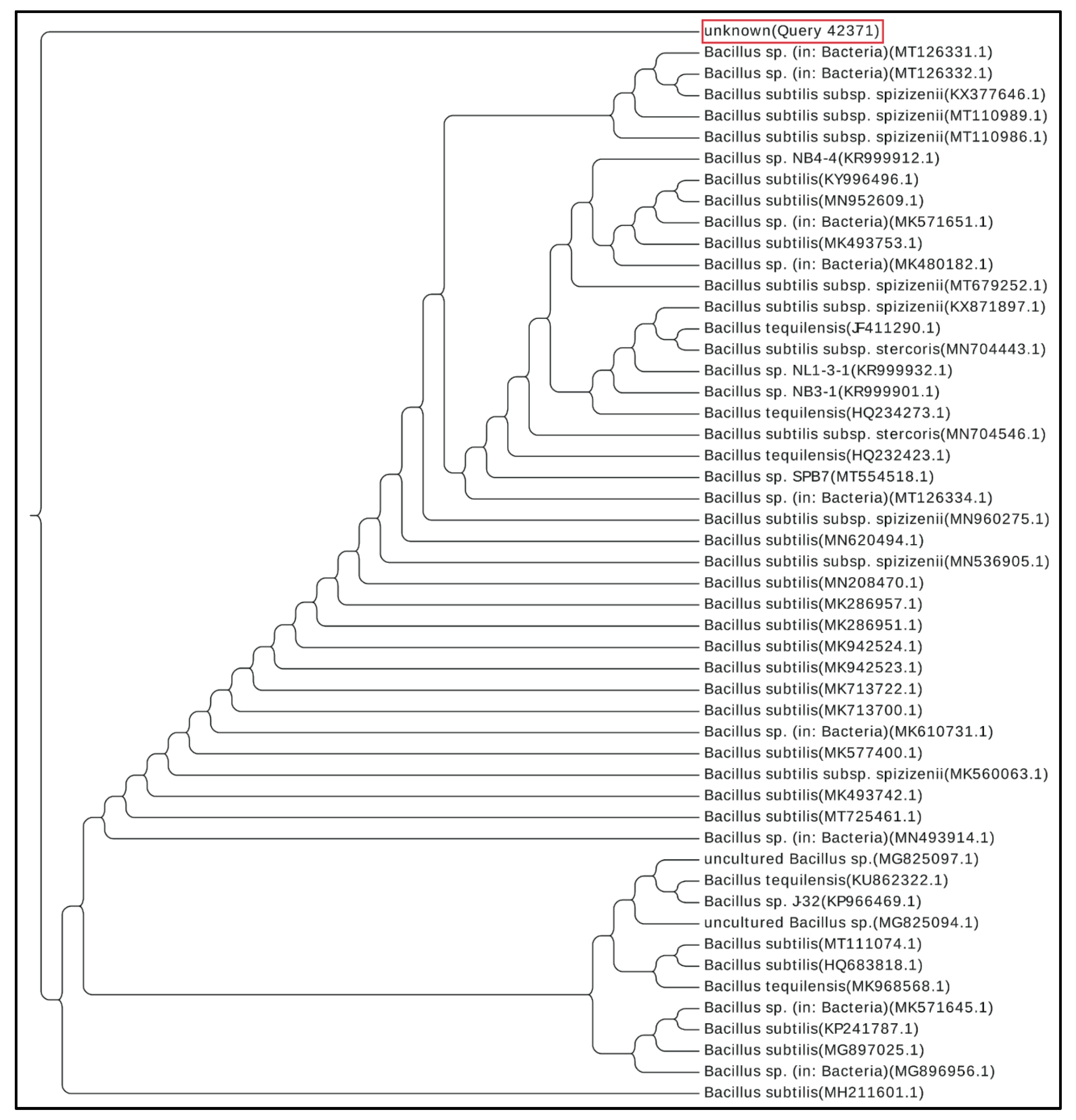 Microorganisms 09 01131 g003 Microorganisms 09 01131 g003