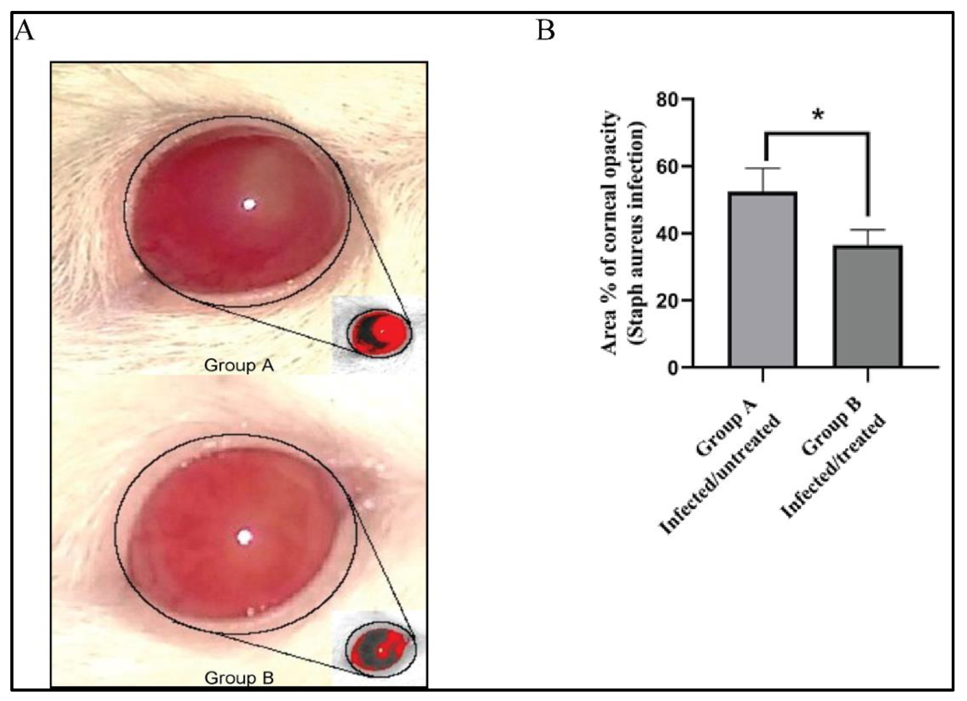 Microorganisms 09 01131 g006 Microorganisms 09 01131 g006