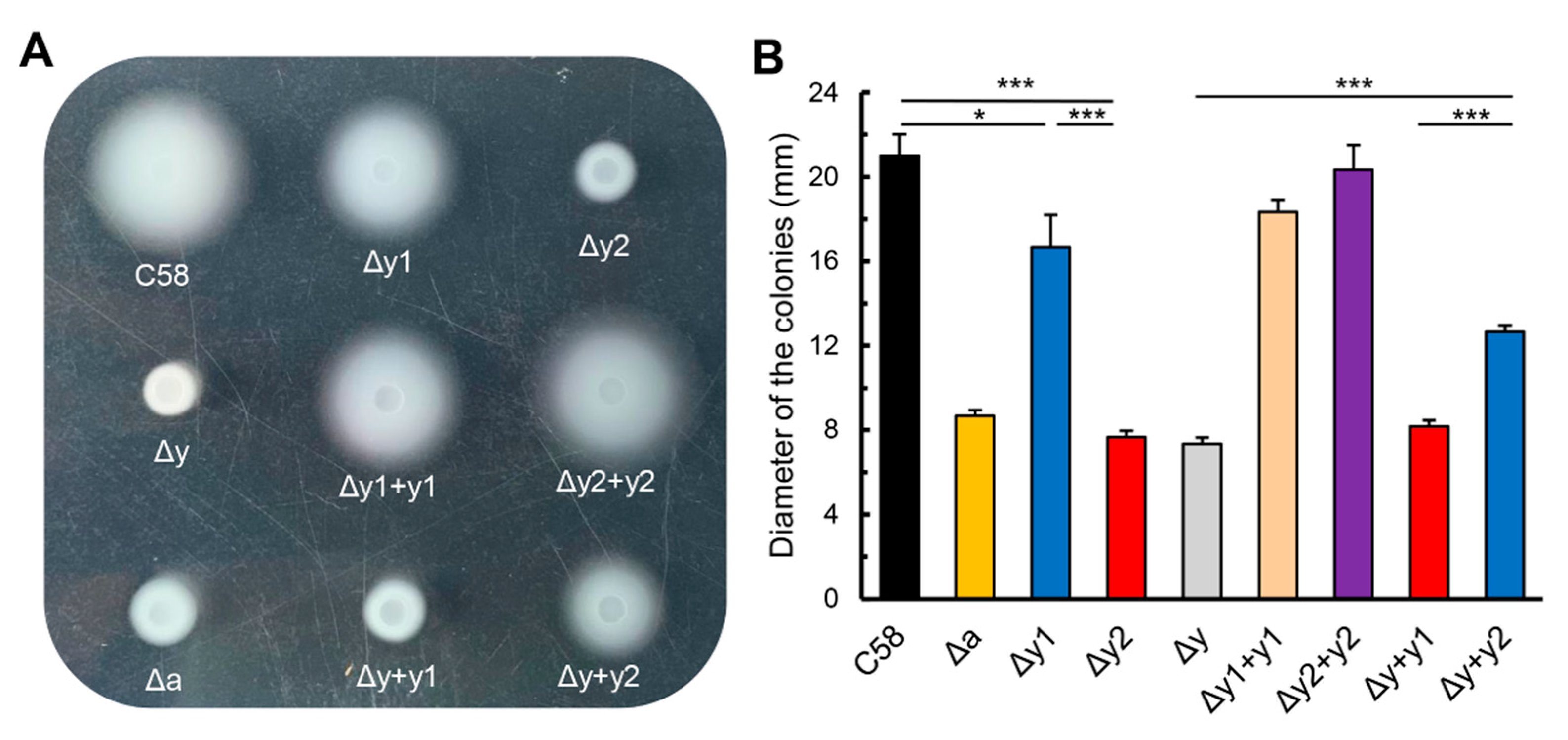 Microorganisms 09 01134 g001 Microorganisms 09 01134 g001