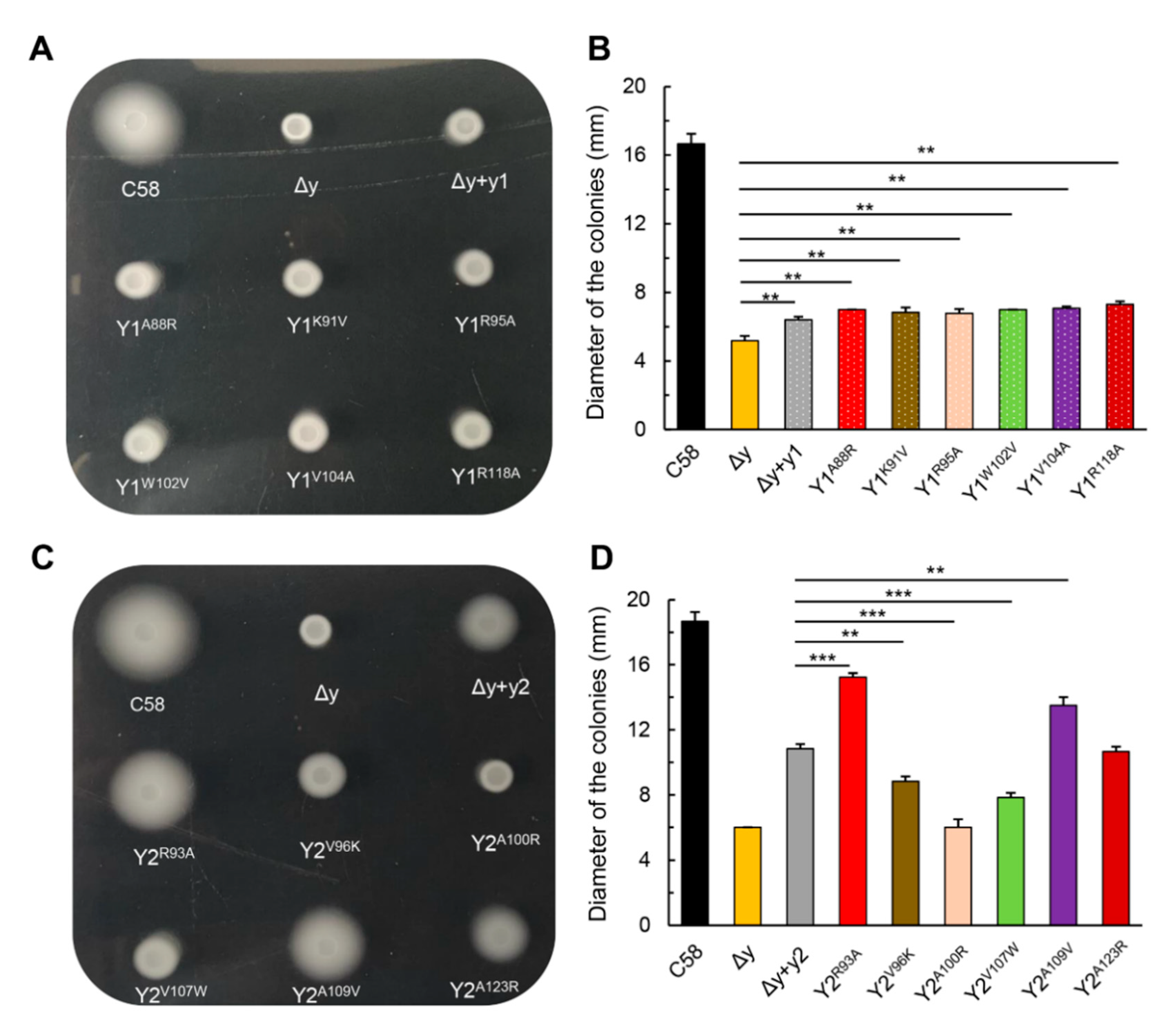 Microorganisms 09 01134 g005 Microorganisms 09 01134 g005