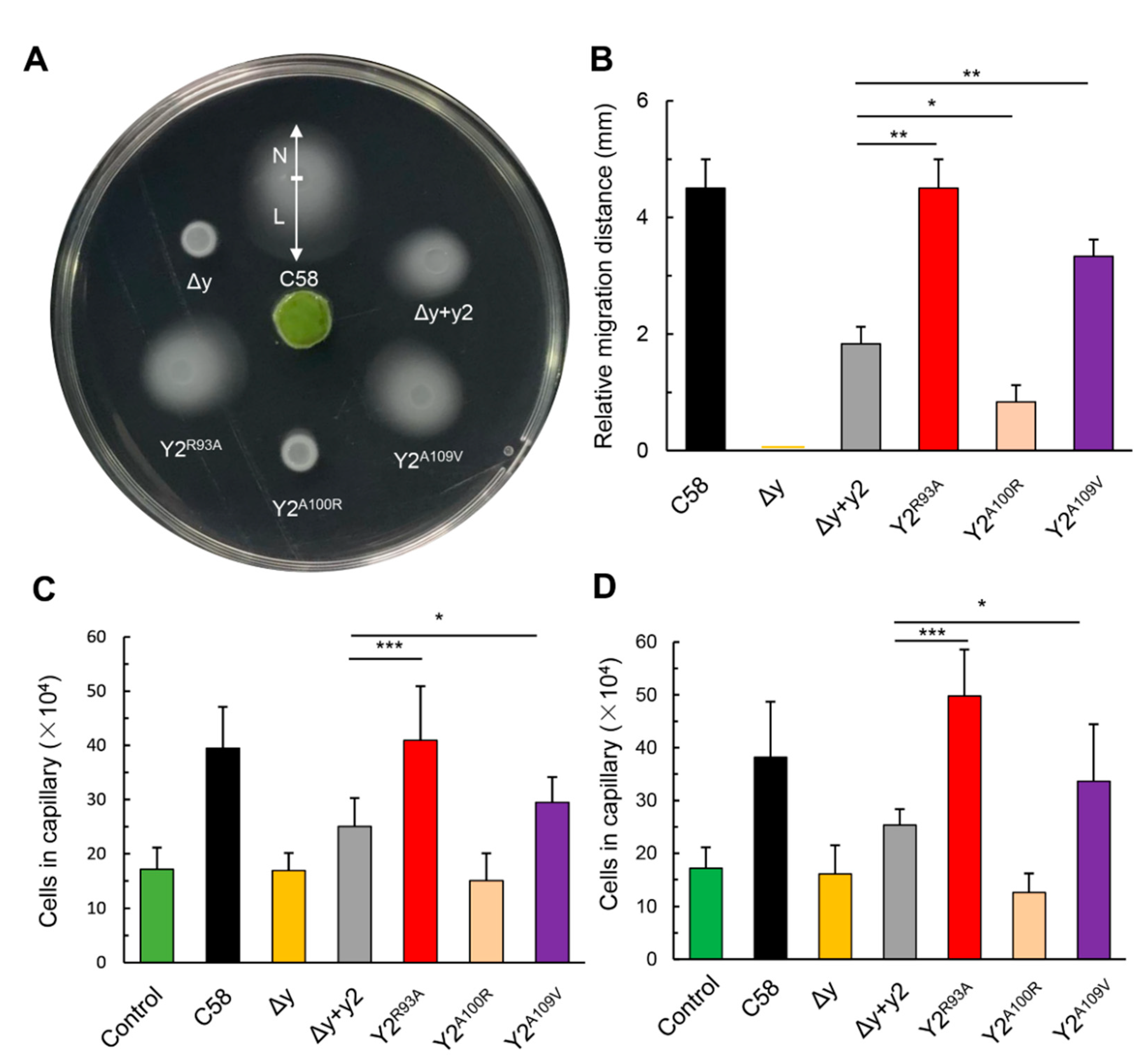 Microorganisms 09 01134 g006 Microorganisms 09 01134 g006