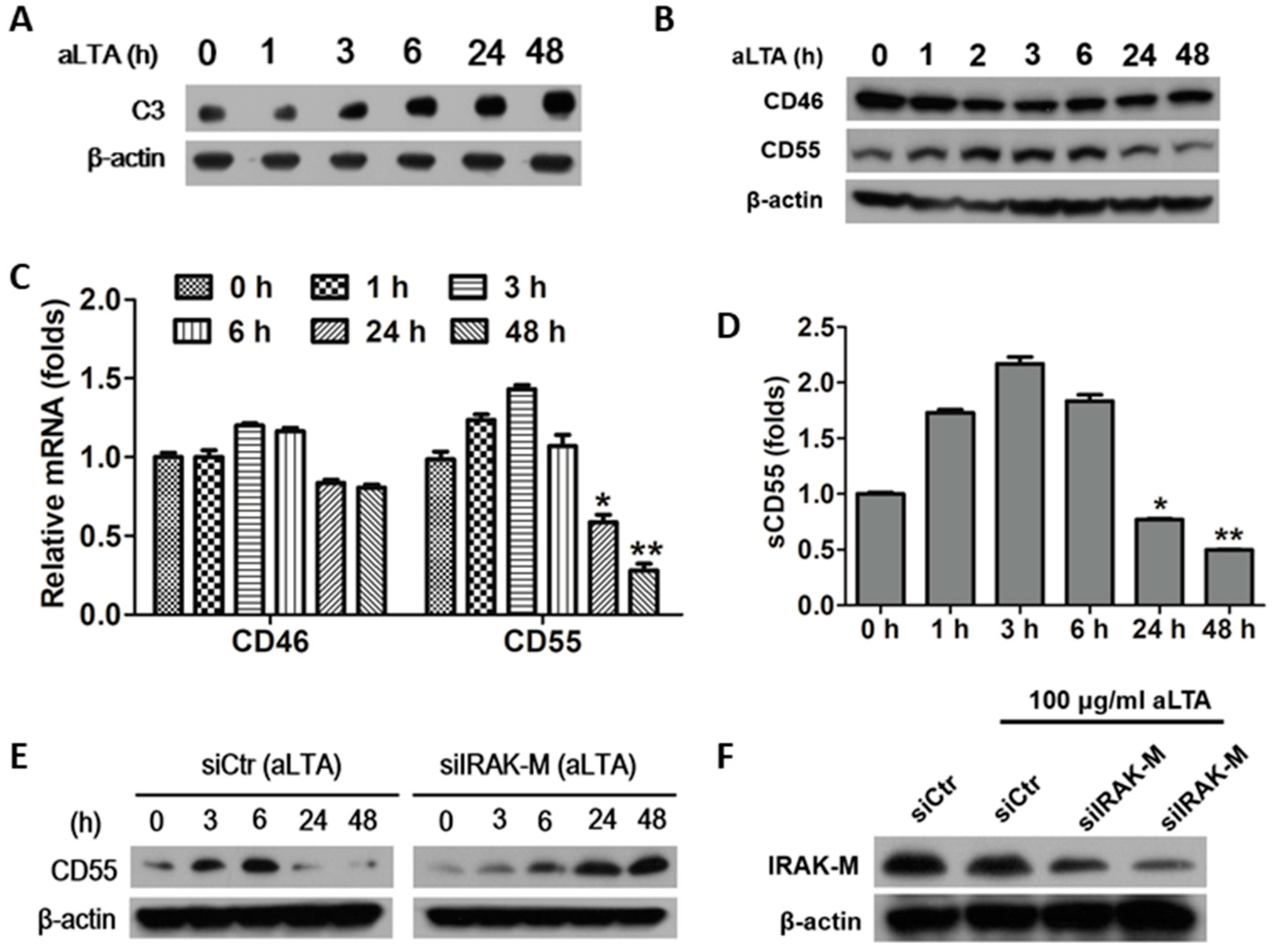 Microorganisms 09 01135 g005 Microorganisms 09 01135 g005